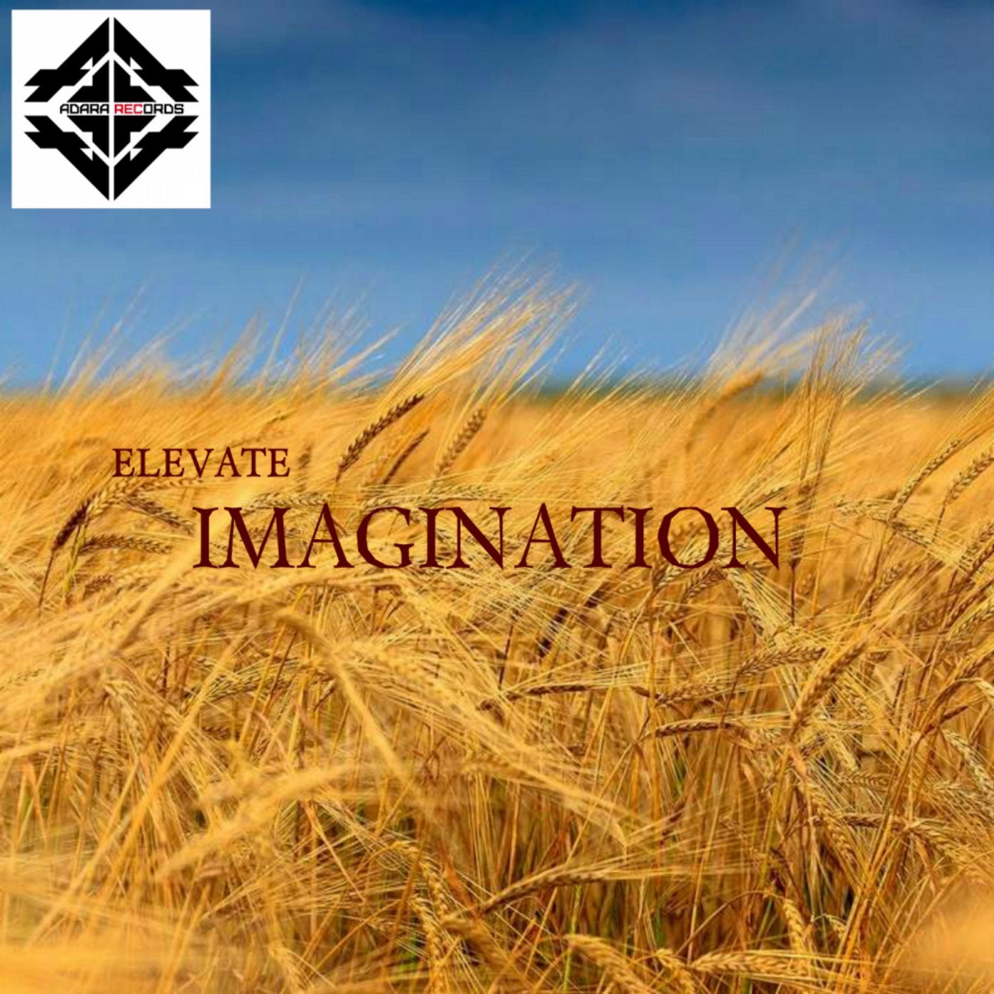 Imagination