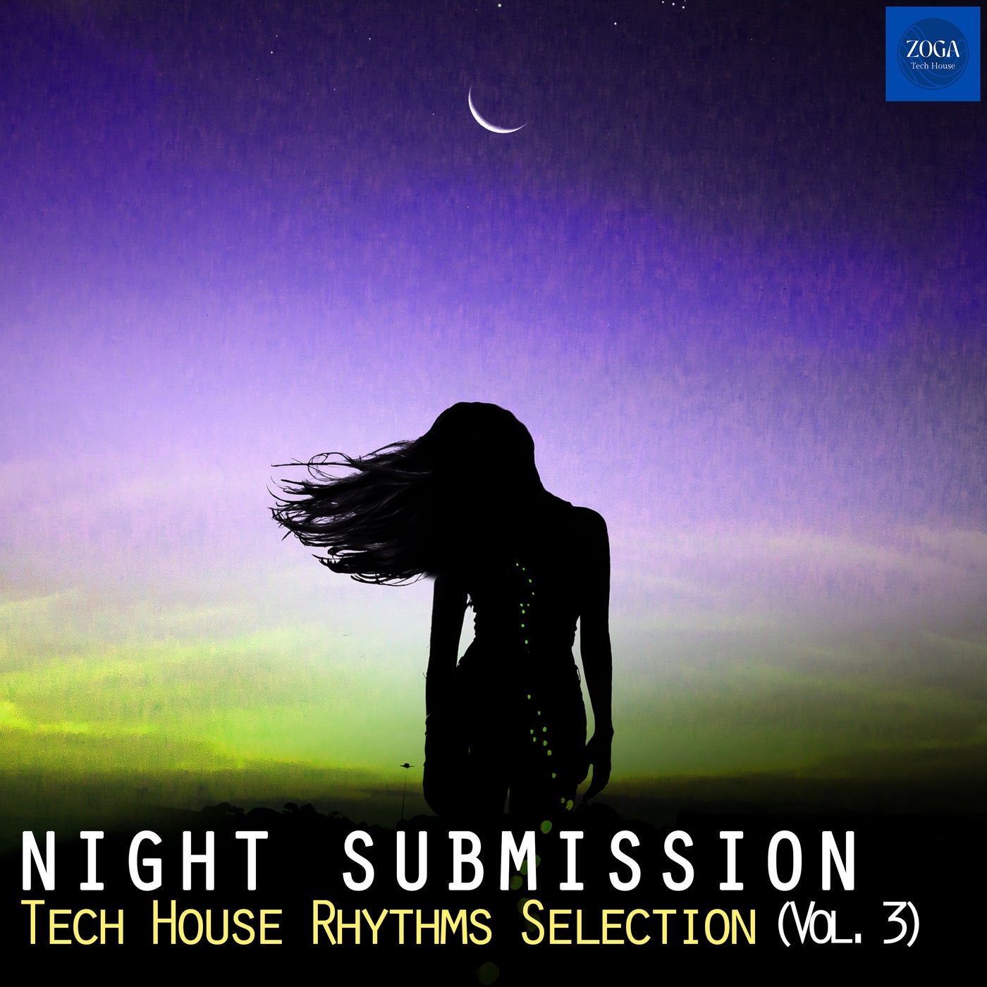 Night Submission, Vol. 3 - Tech House Rhythms Selection