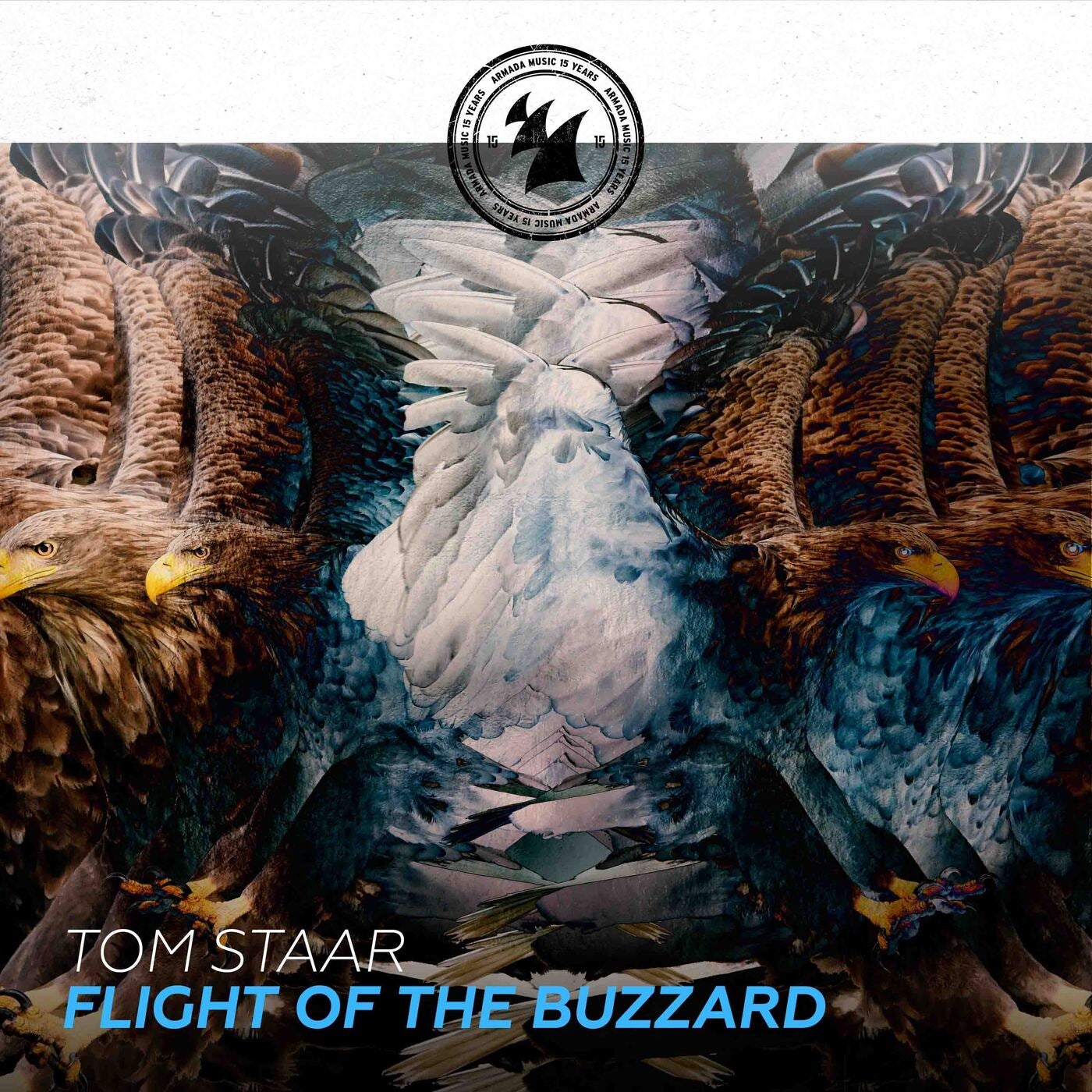 Flight Of The Buzzard