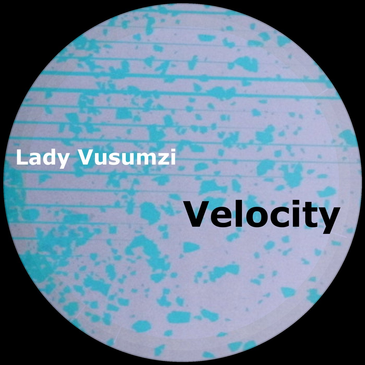 Velocity