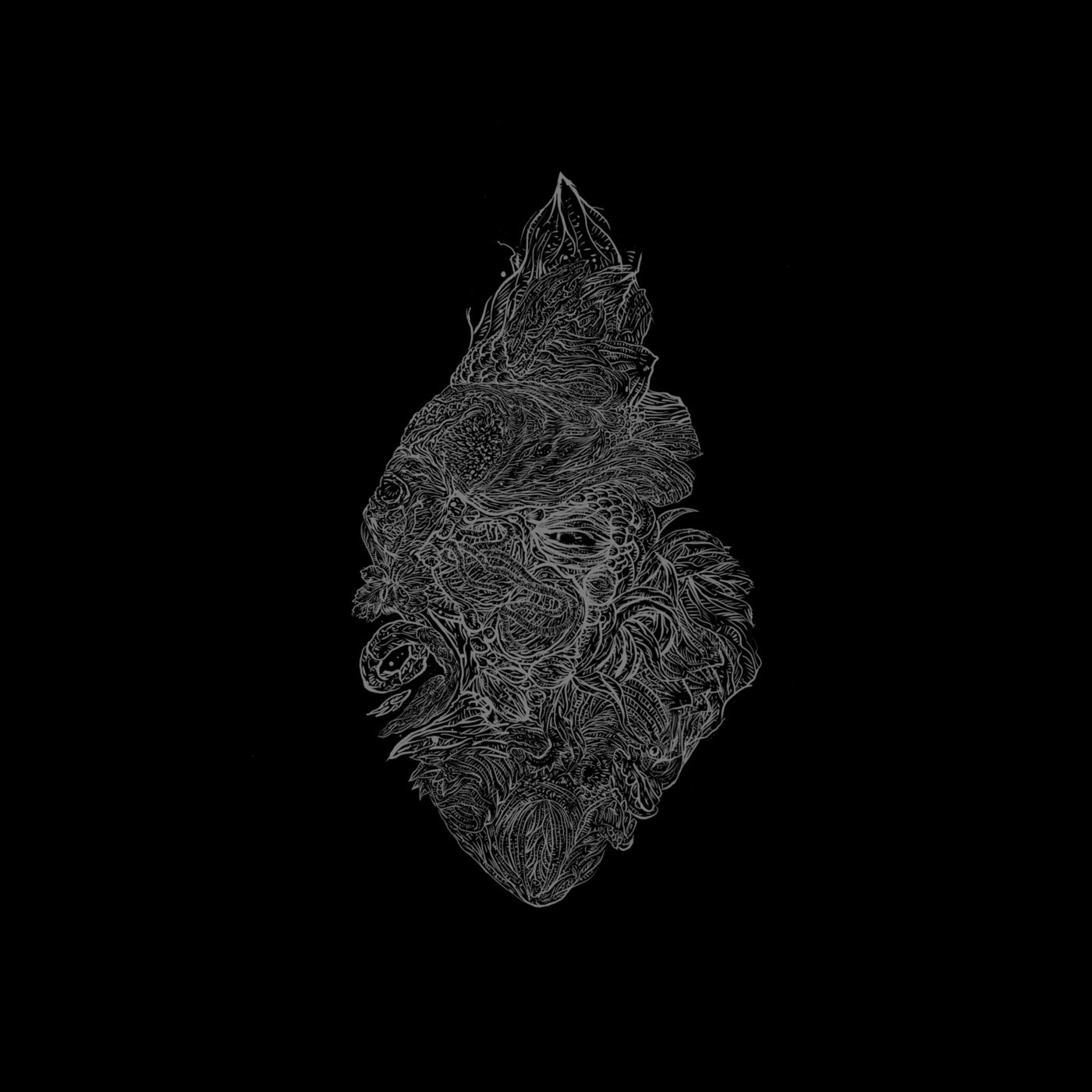 Okyrrd
