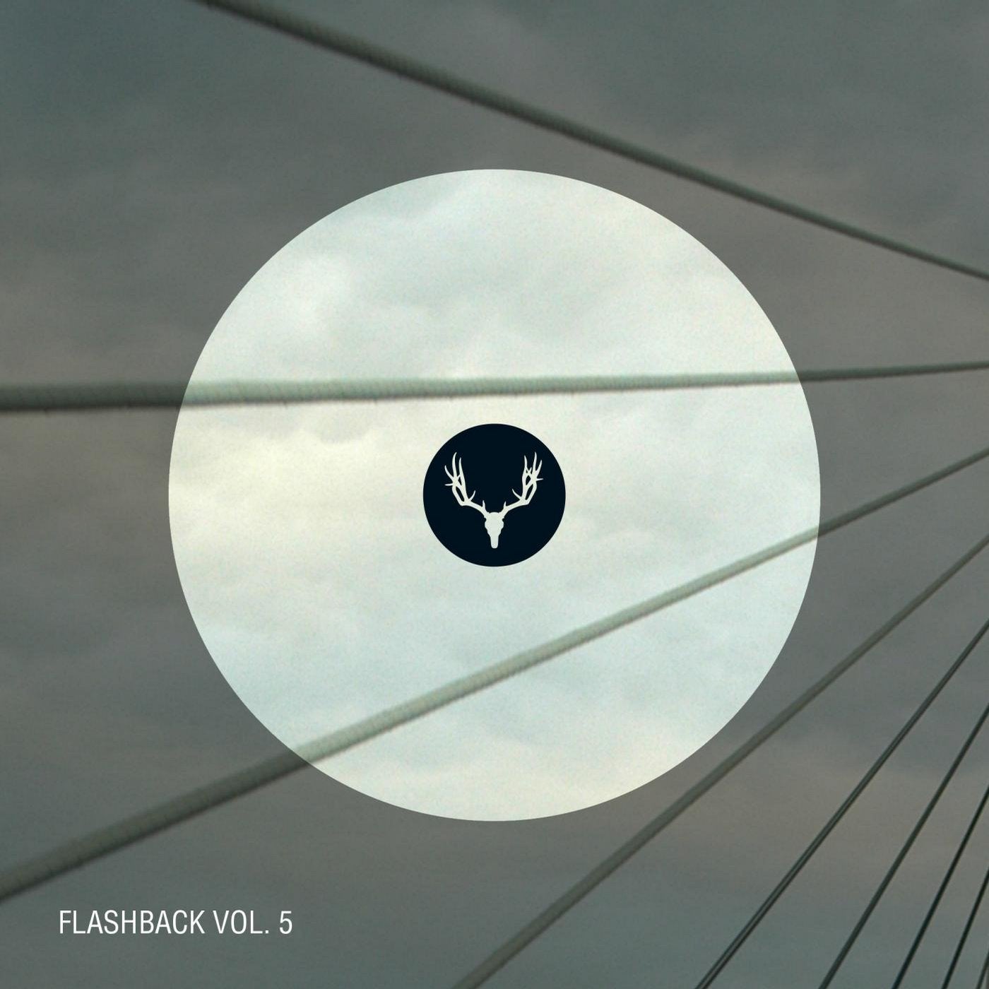 Flashback Vol. 5