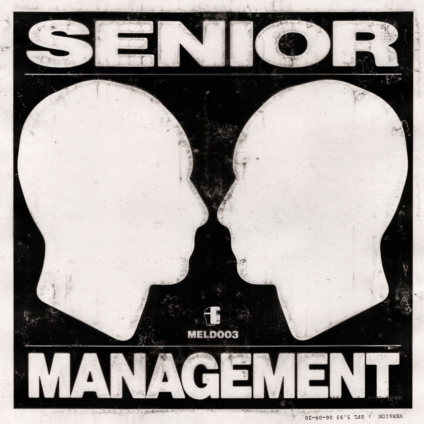 Senior Management