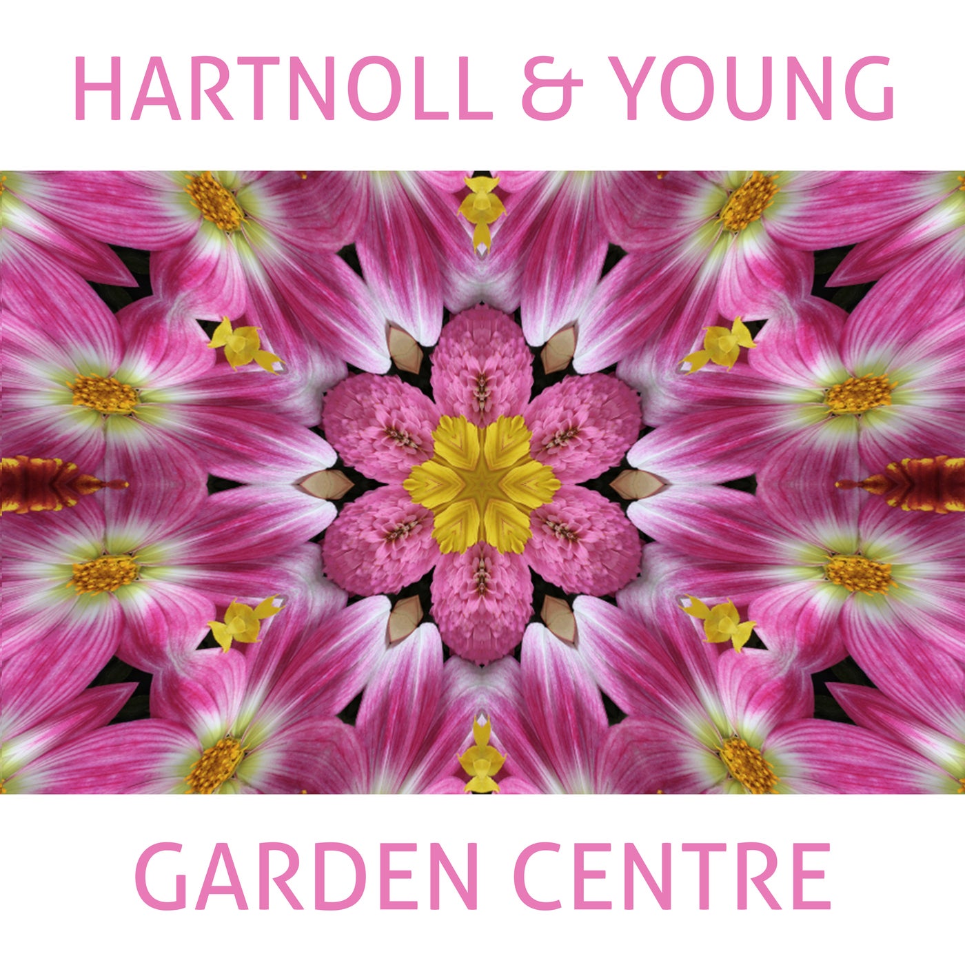 Garden Centre (Push the Trolley)