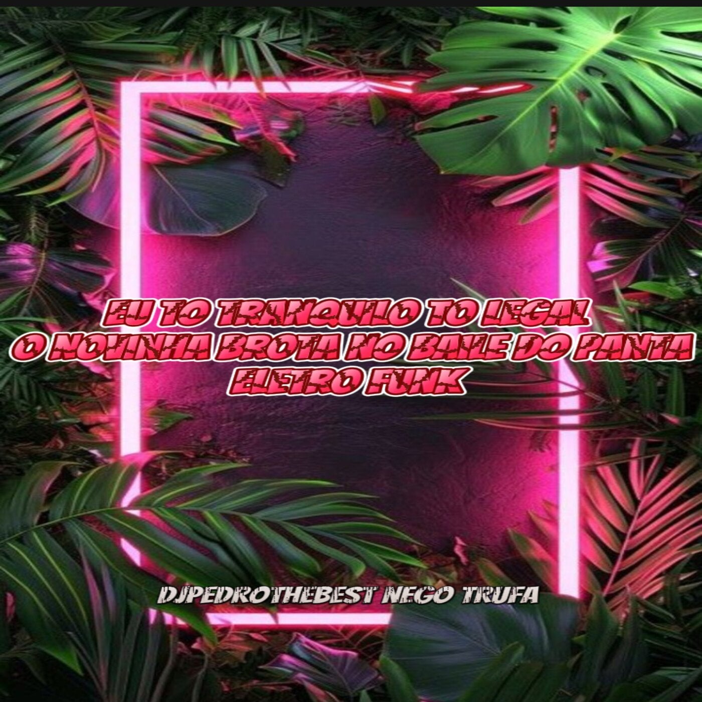 Eu To Tranquilo To Legal o Novinha Brota no Baile do Panta (Eletro Funk)