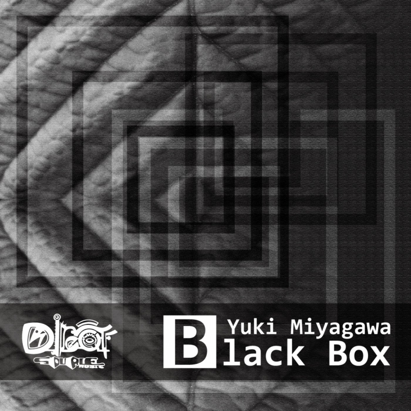 Black Box