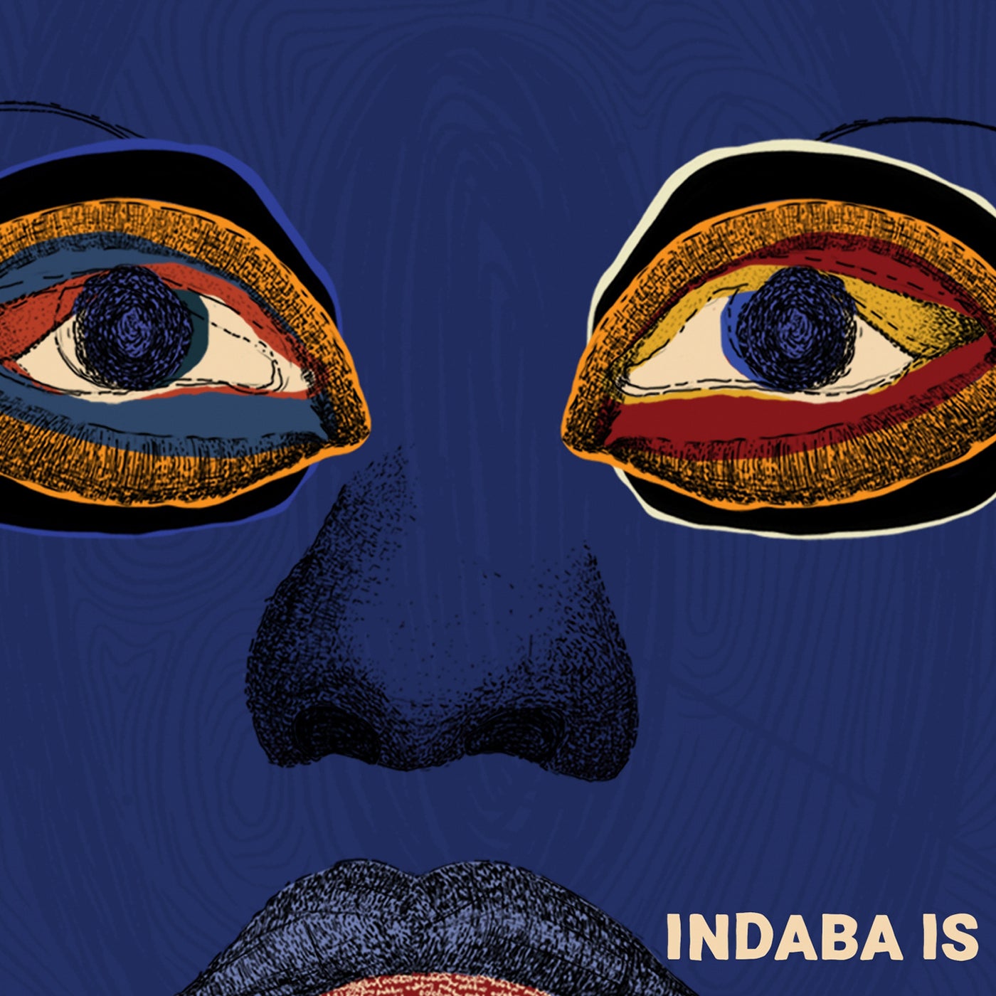 Cover art for Indaba Is