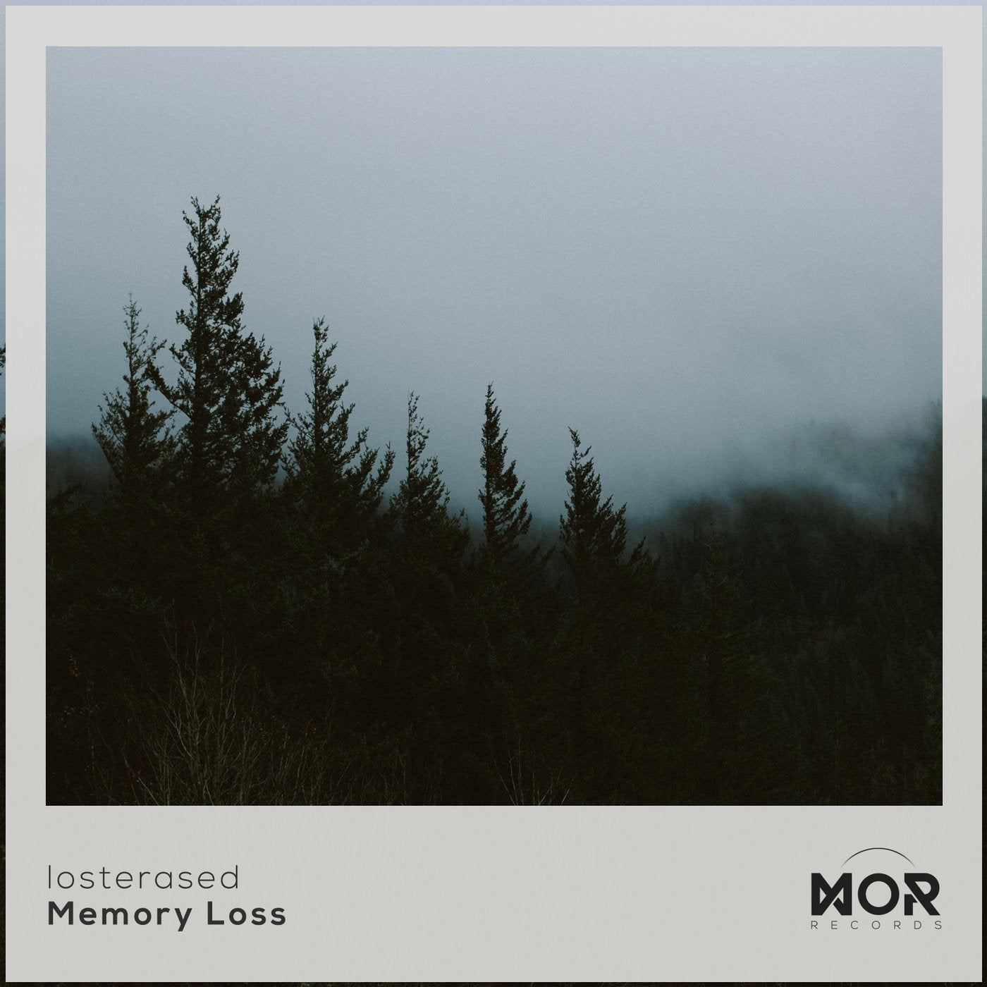 Memory Loss