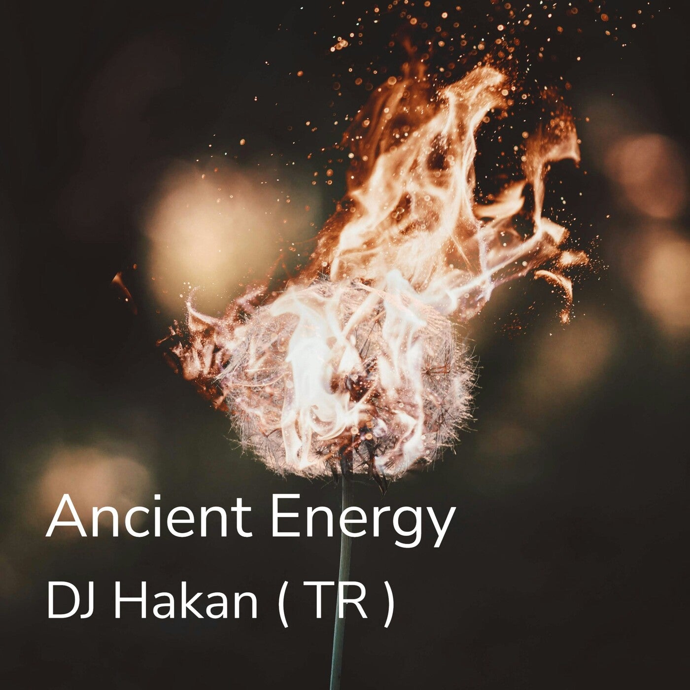 Ancient Energy