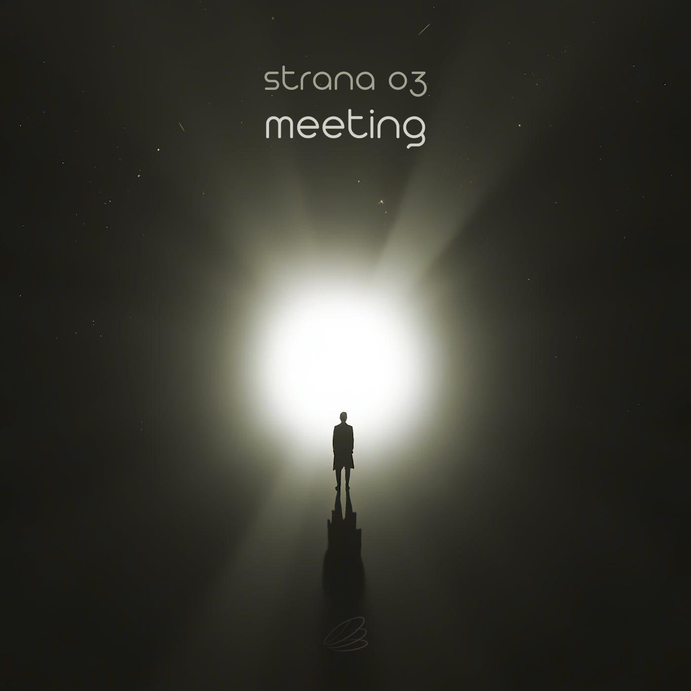 Meeting