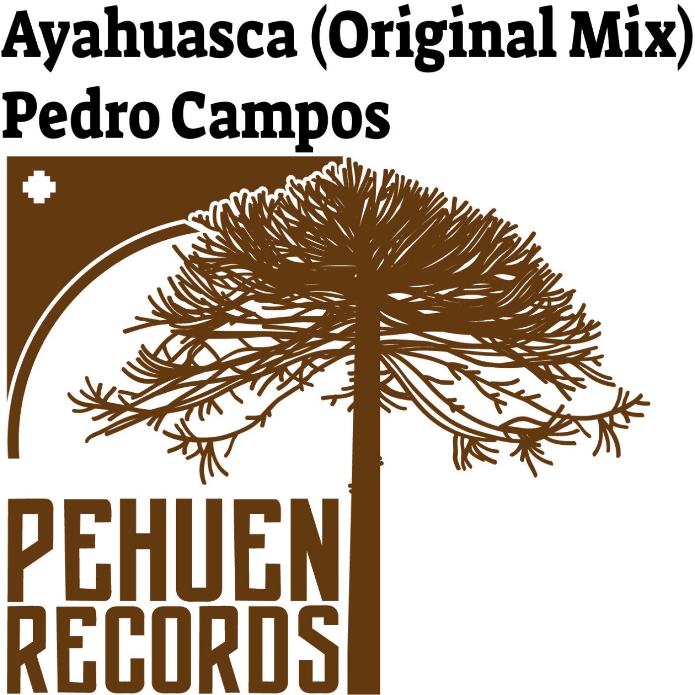 Ayahuasca (Original Mix)