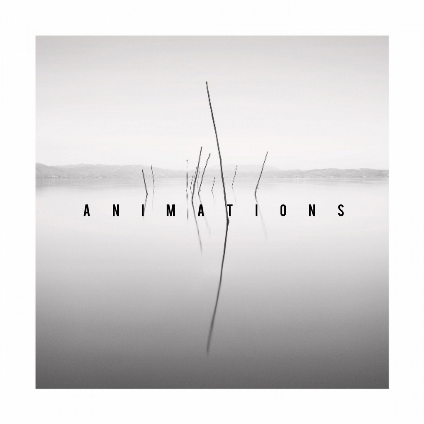 Animations