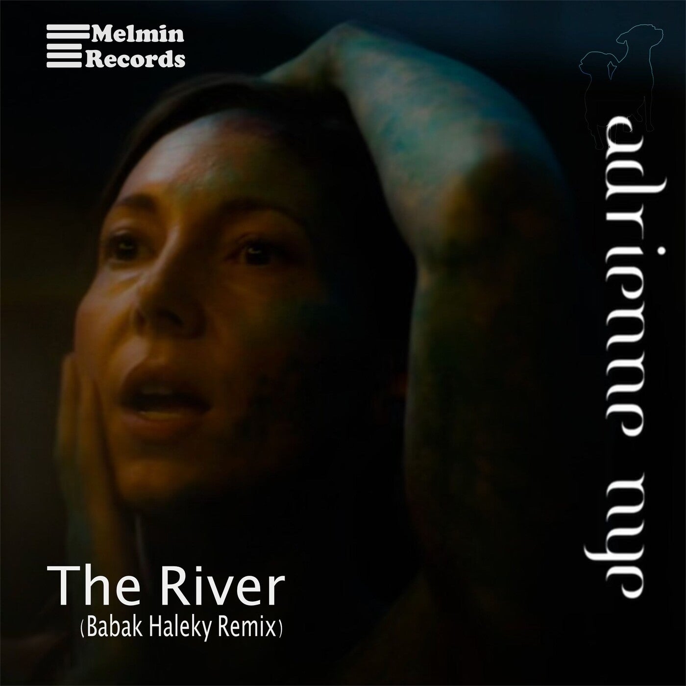 The River (Babak Haleky Remix)