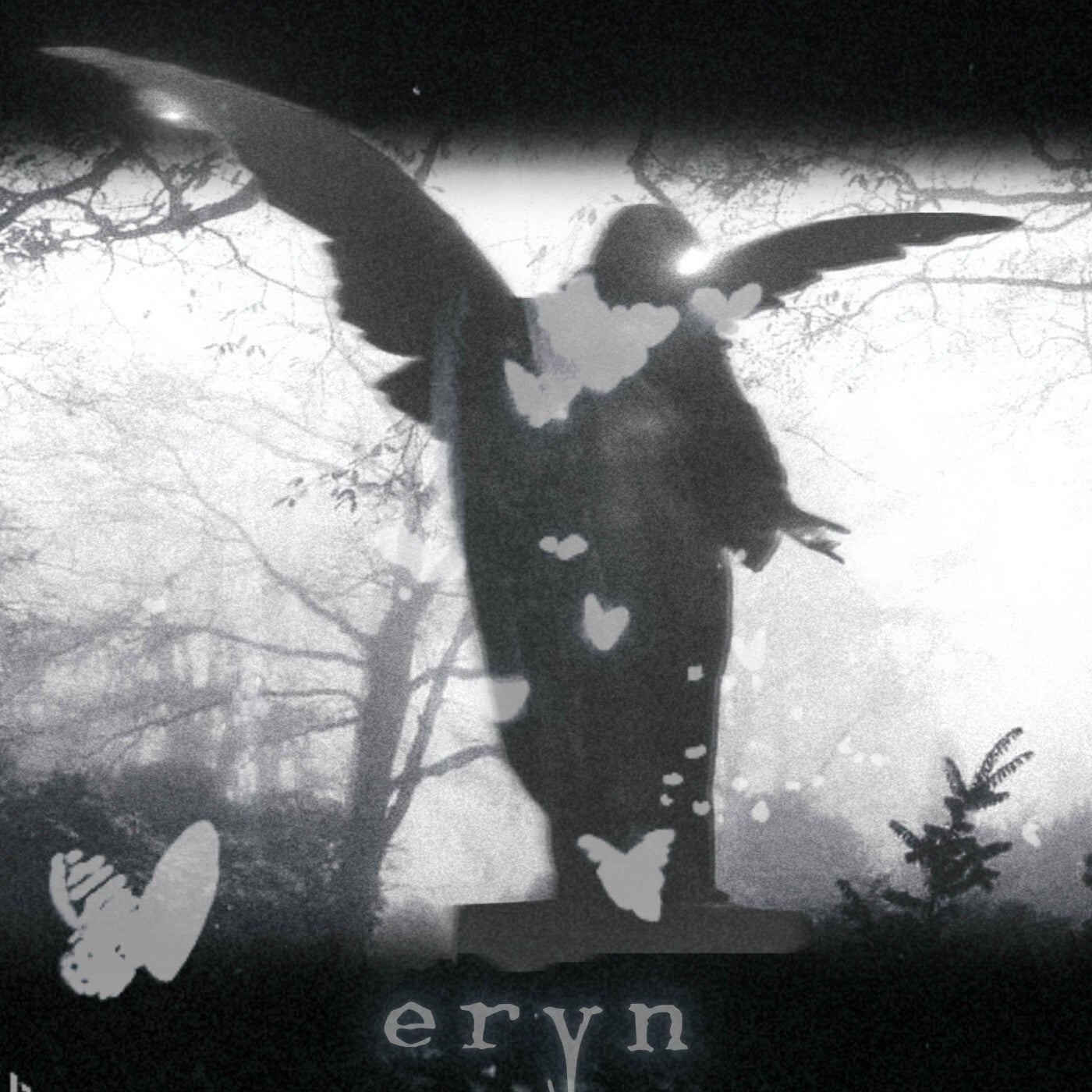 Cover art for Eryn