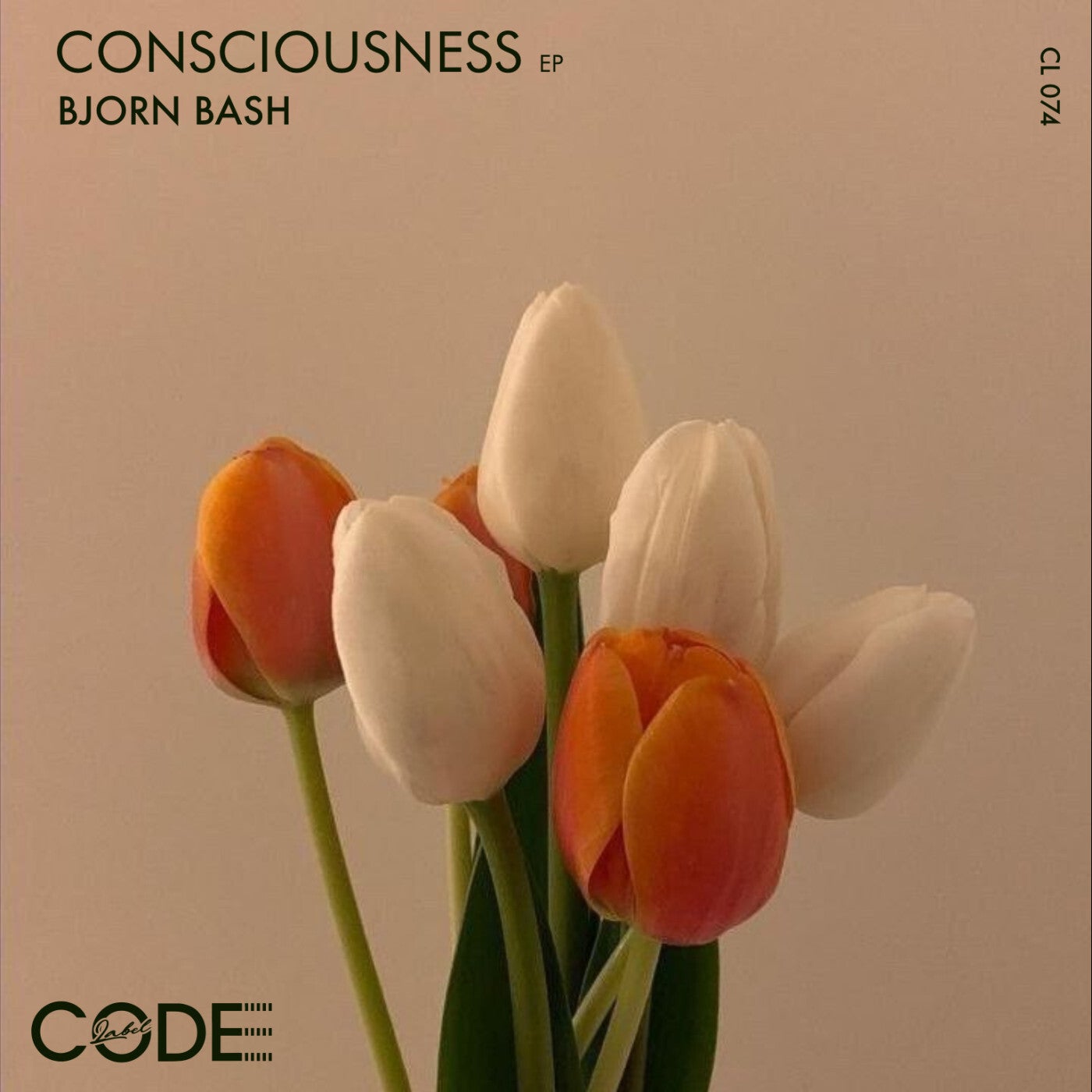 Consciousness EP