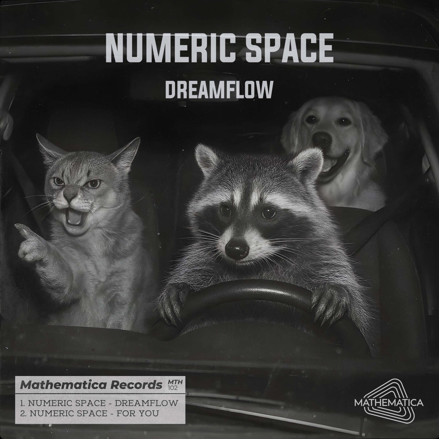 Dreamflow