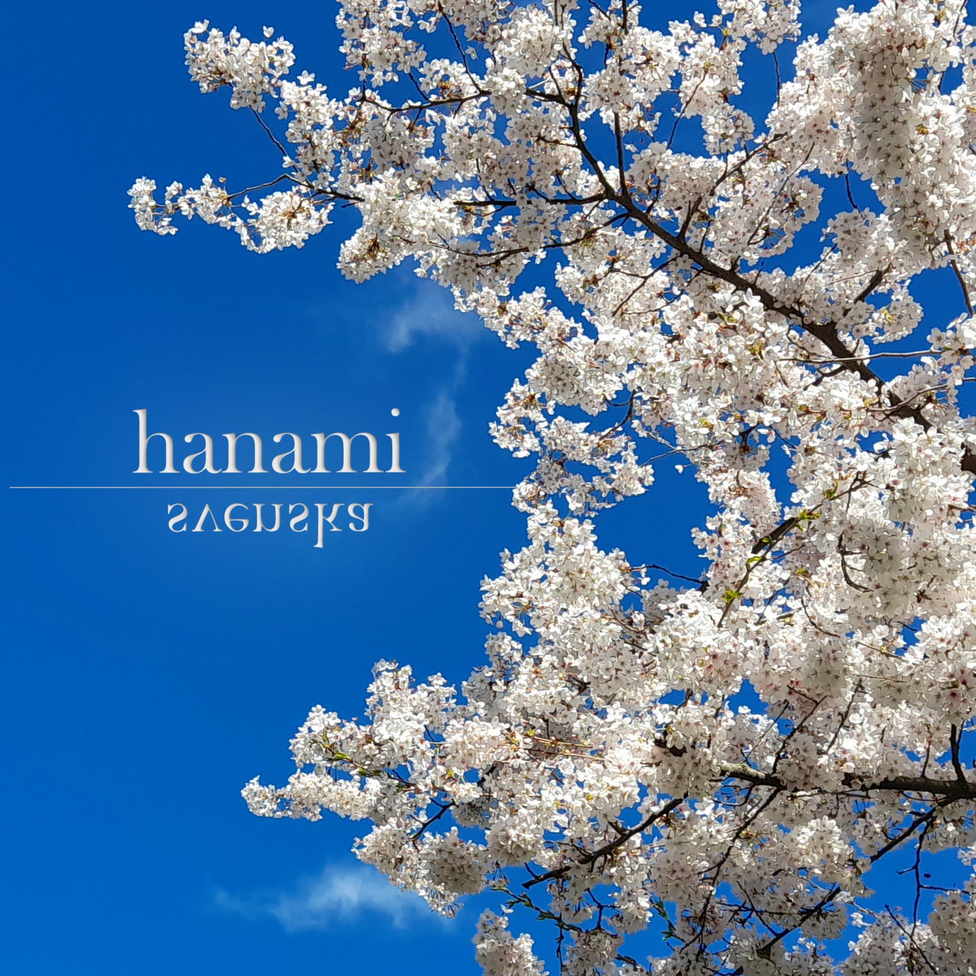 Hanami