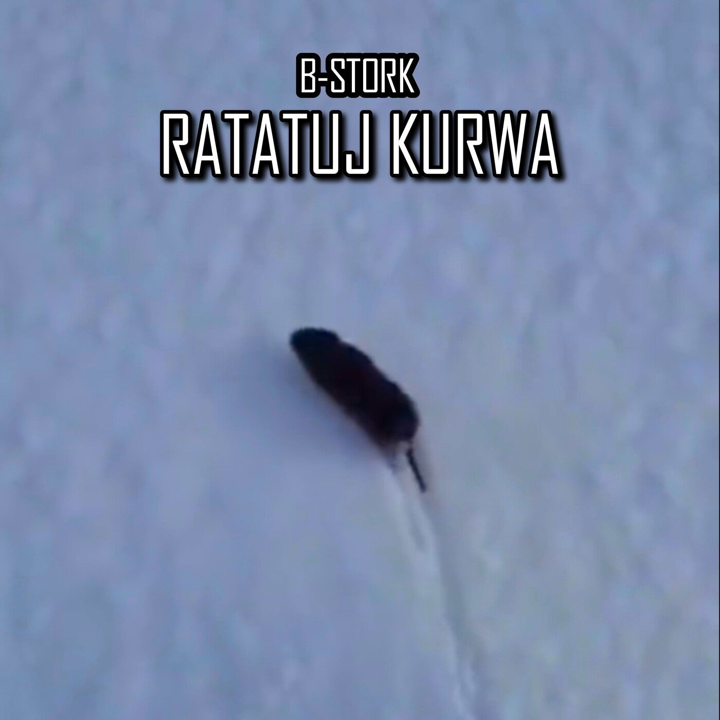 Ratatuj Kurwa