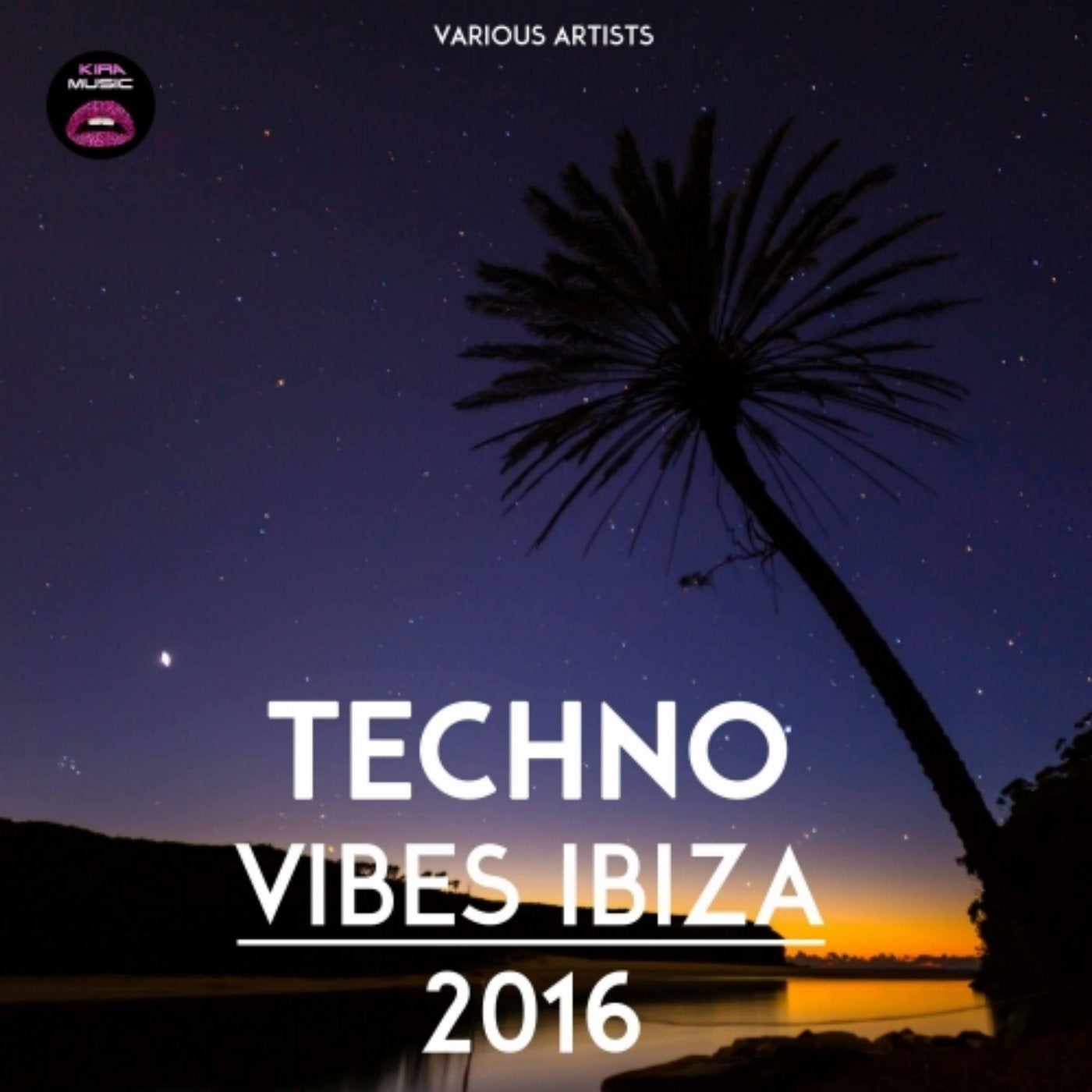 Techno Vibes Ibiza 2016