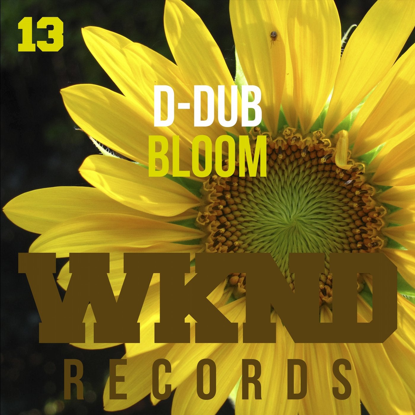 Bloom