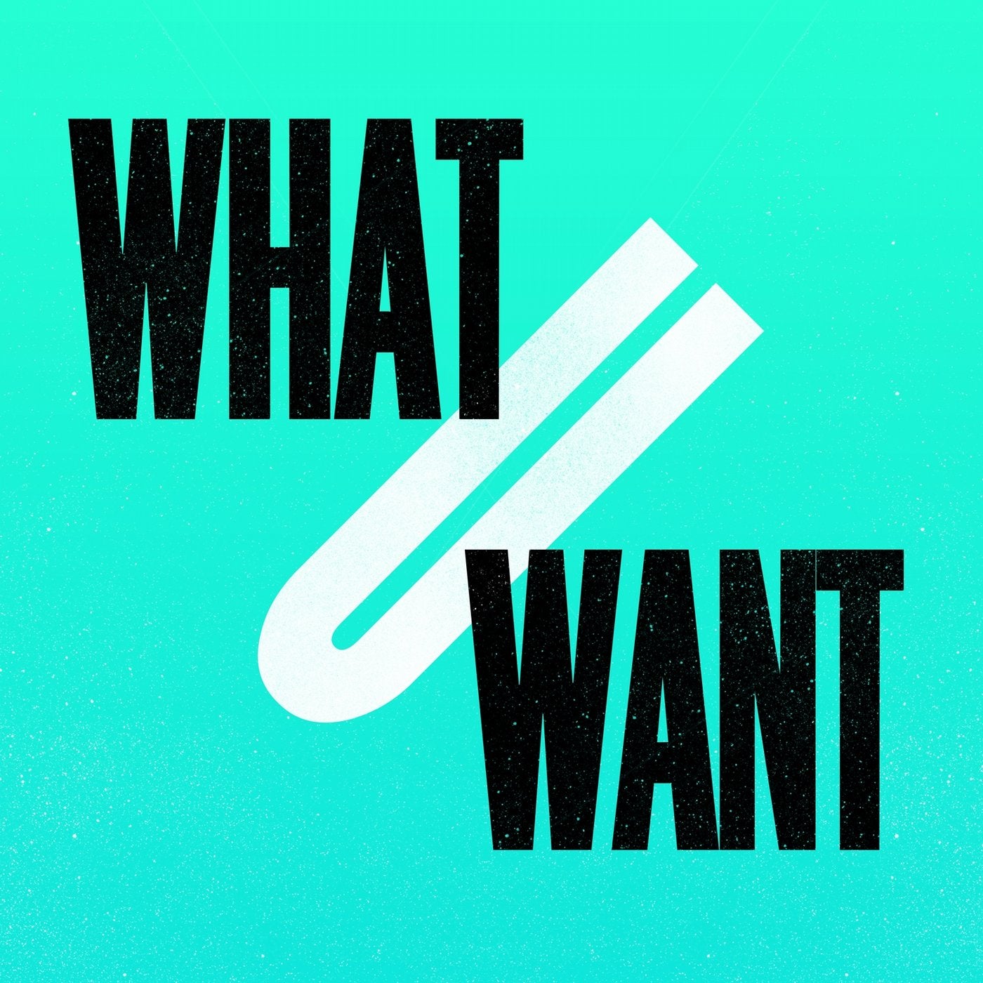 What U Want (2017 Remixes)