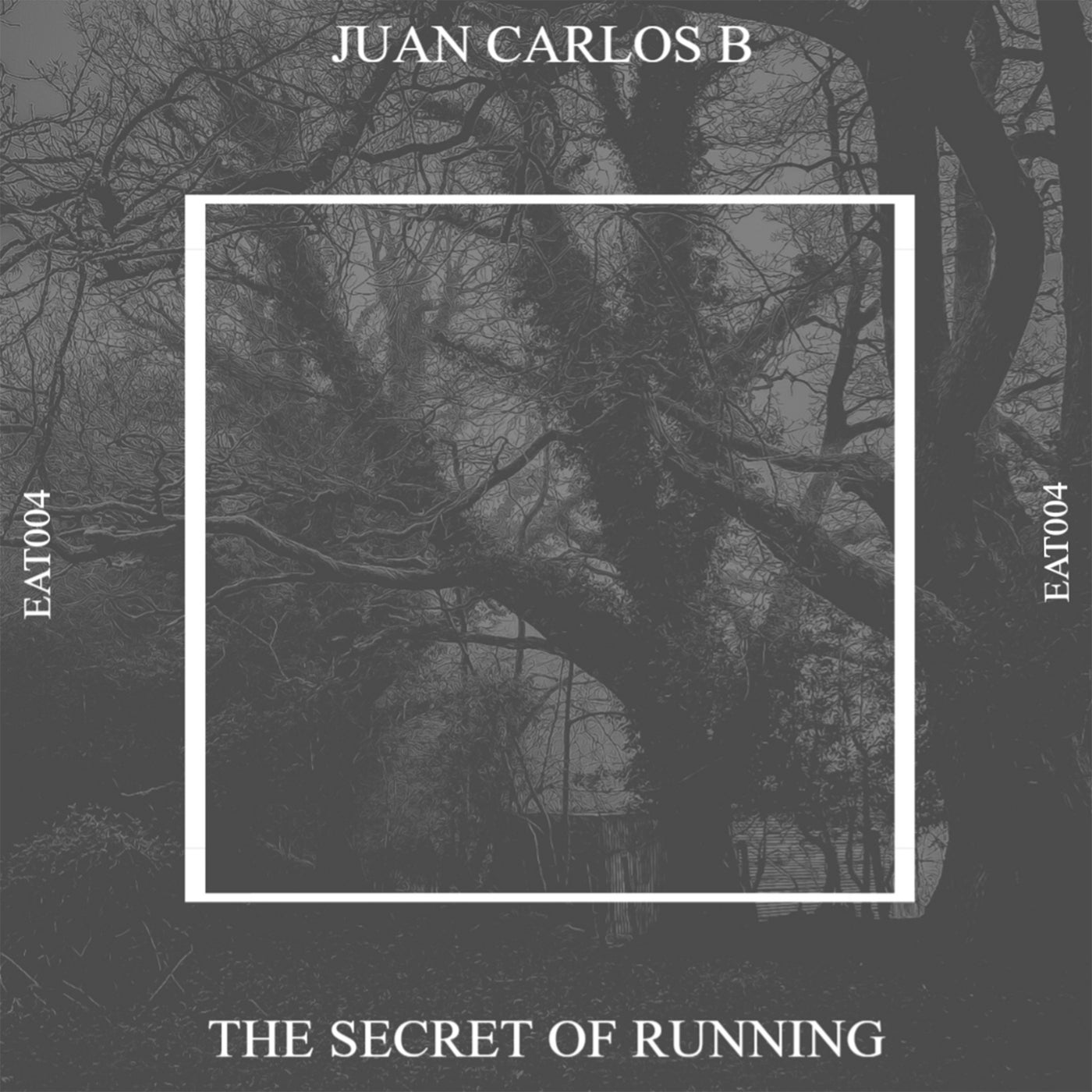 The Secret of Running