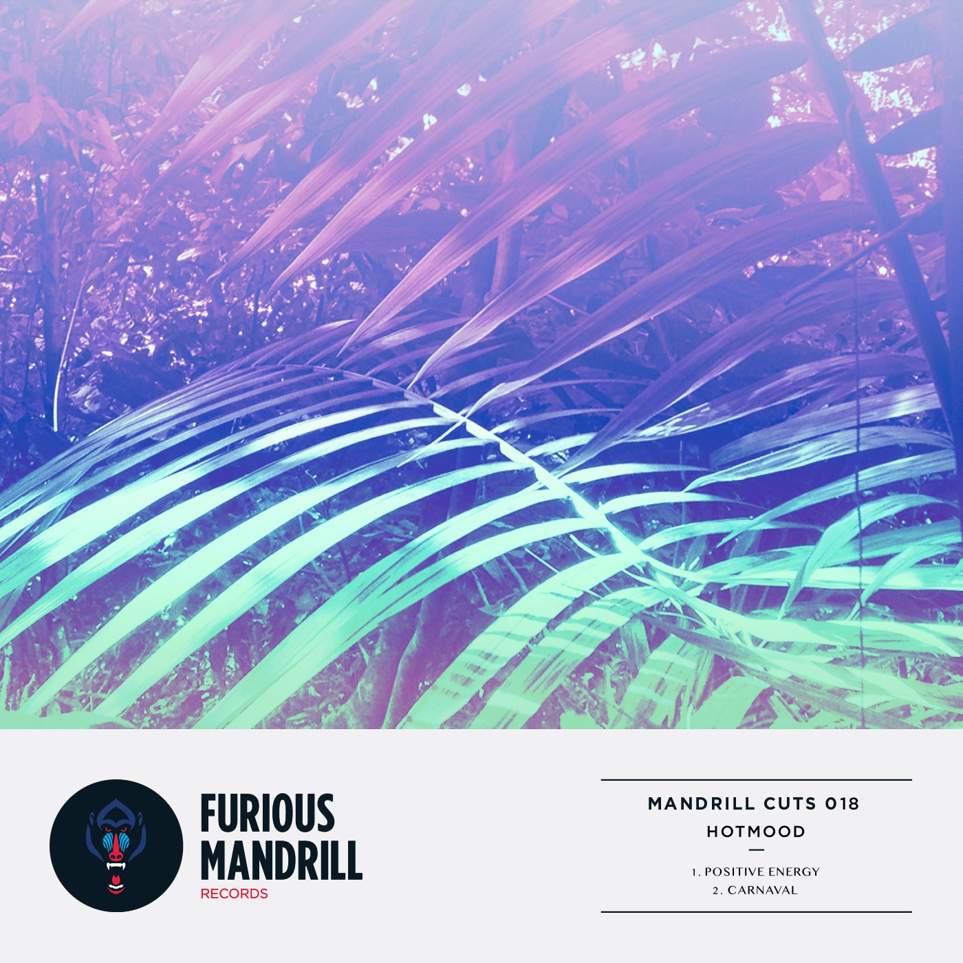 Mandrill Cuts 018