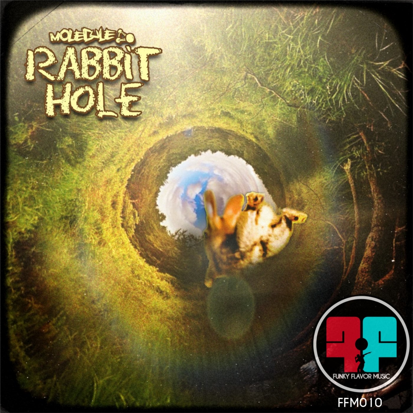 Rabbit Hole