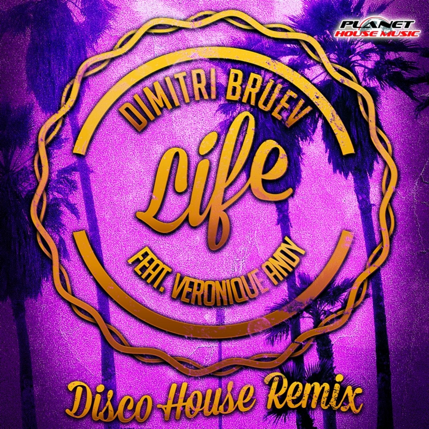 Life (Disco House Remix)