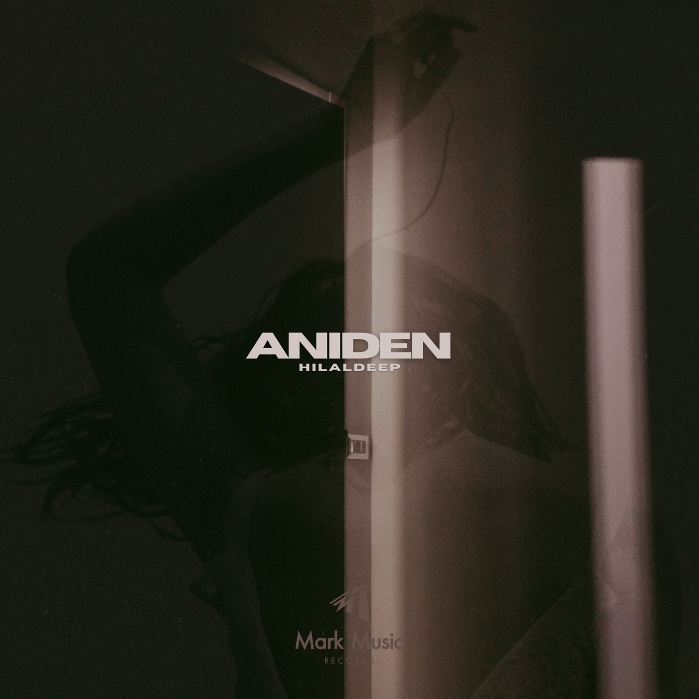 Aniden