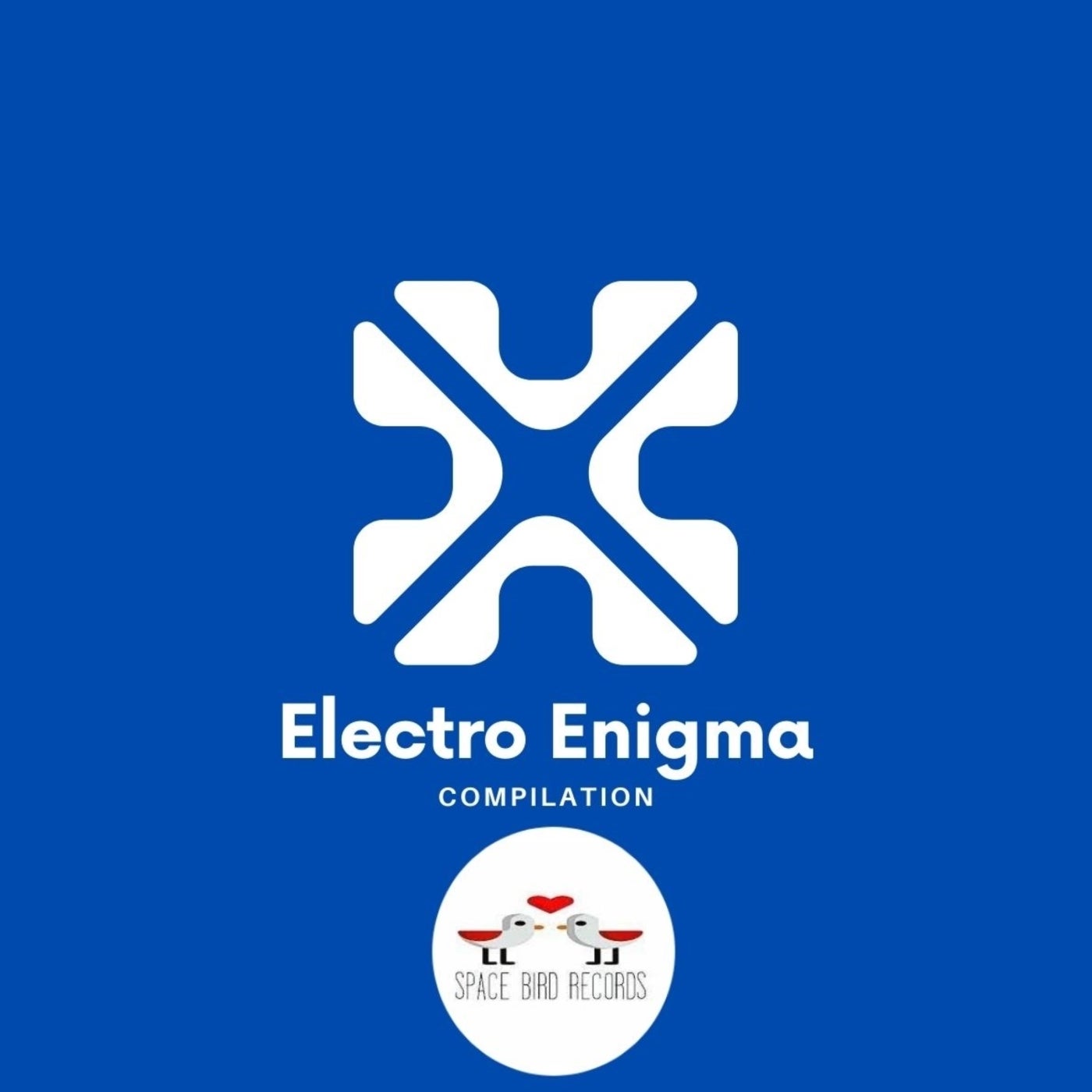 Electro Enigma