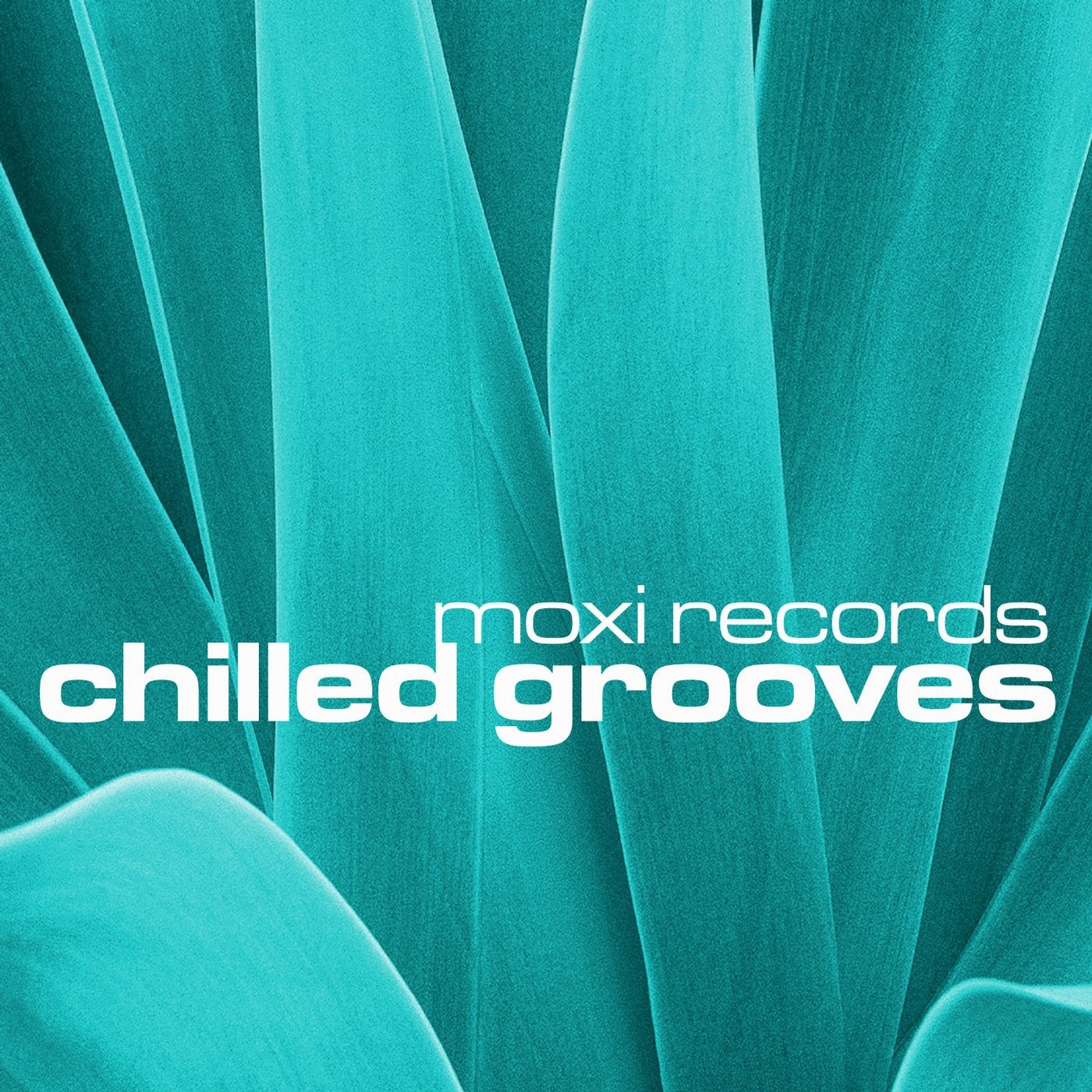 Chilled Grooves Vol 5