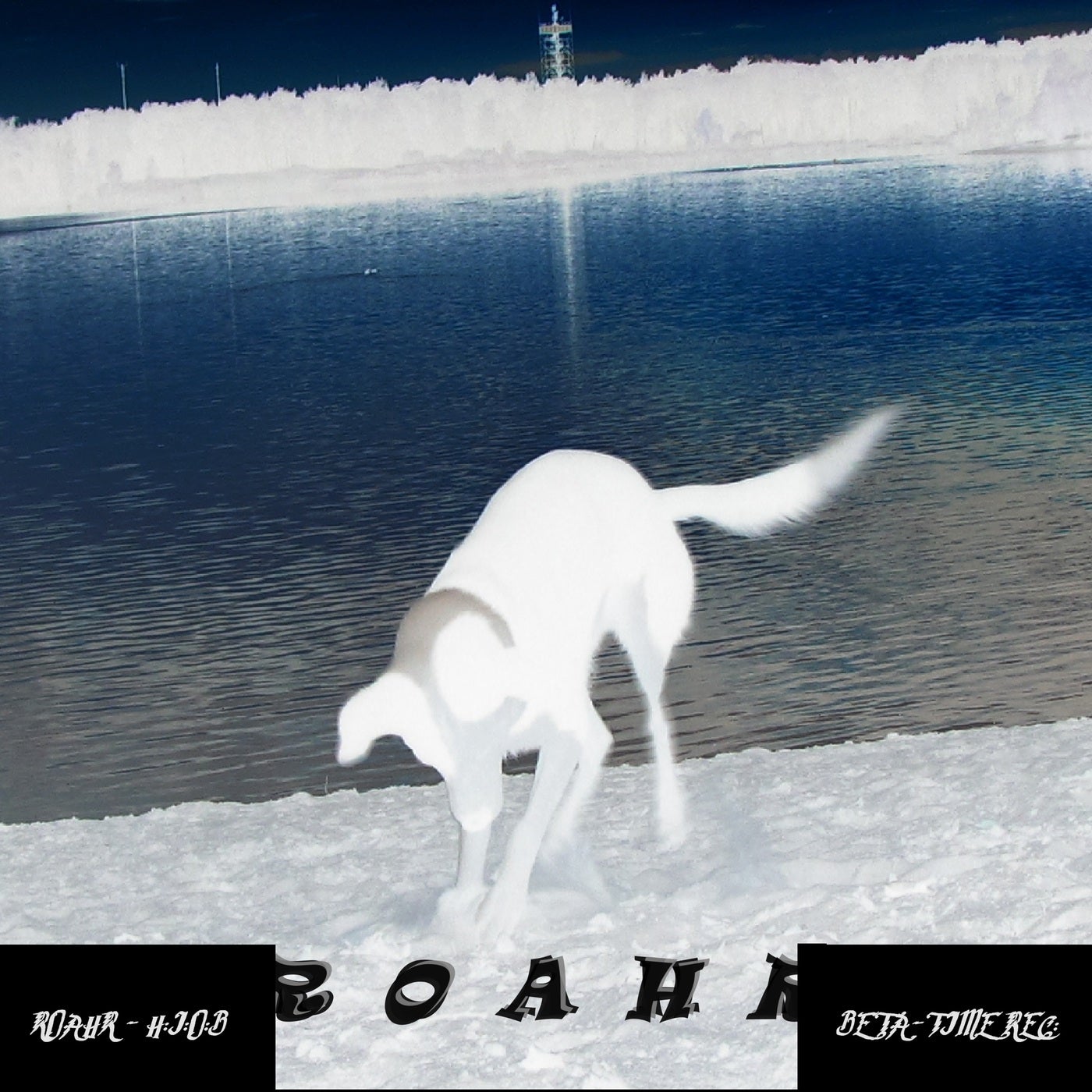 Roahr