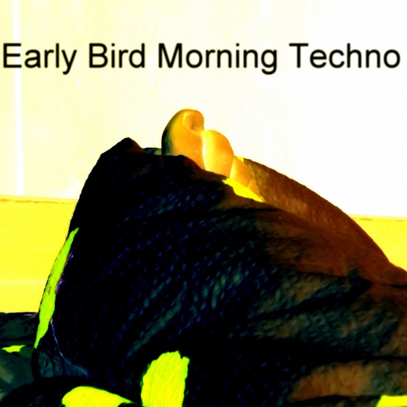 Early Bird Morning Techno