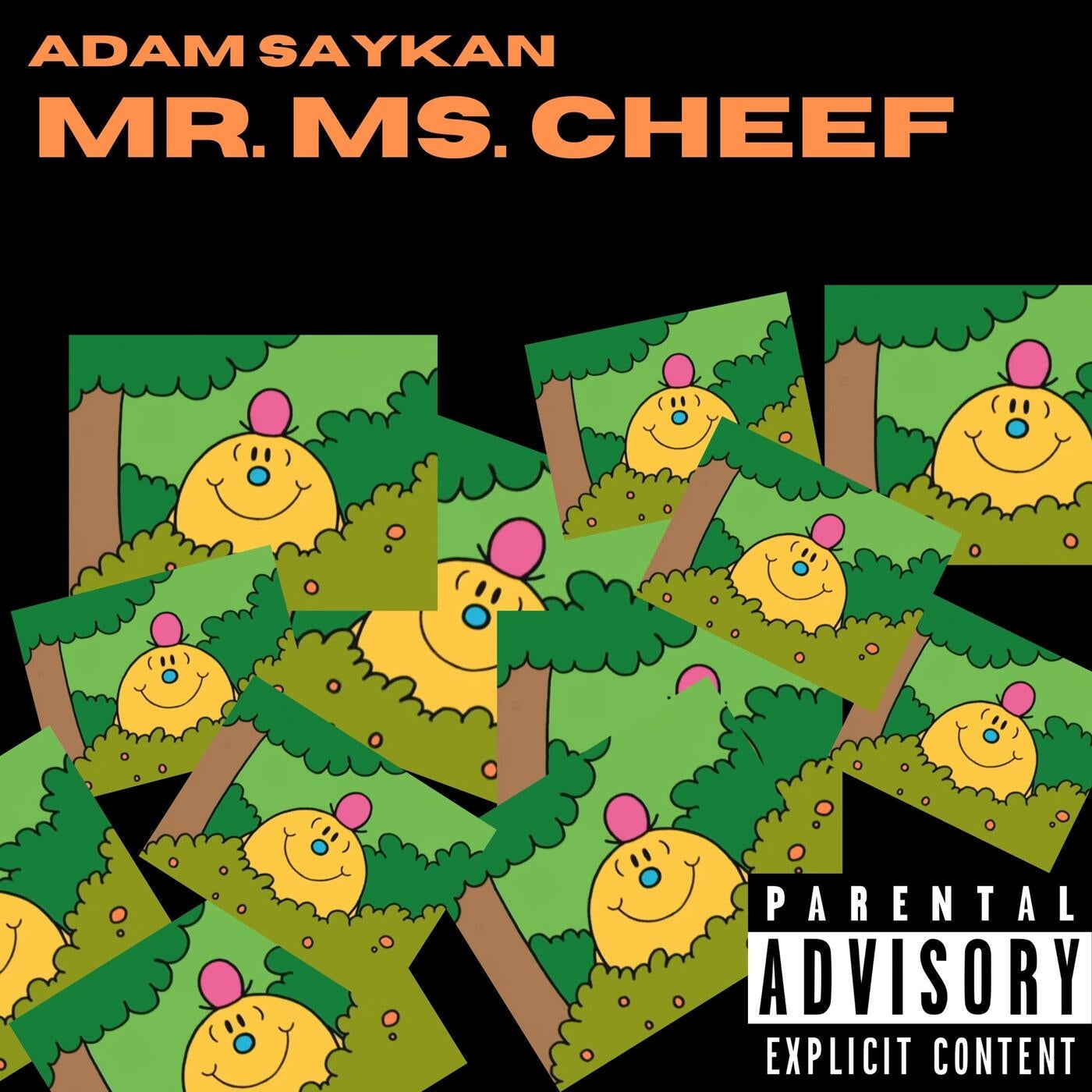 MR. MS. CHEEF