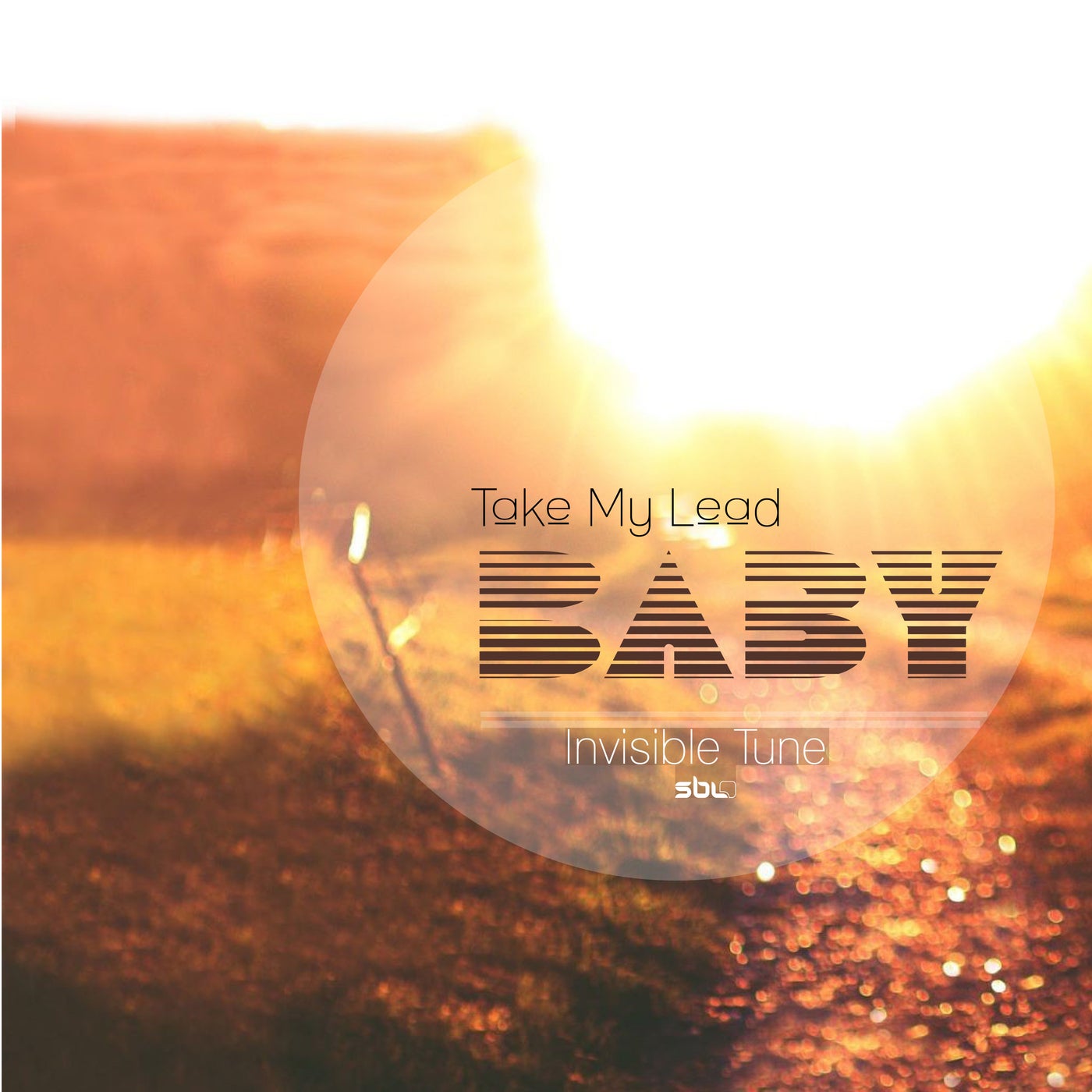 Take My Lead Baby