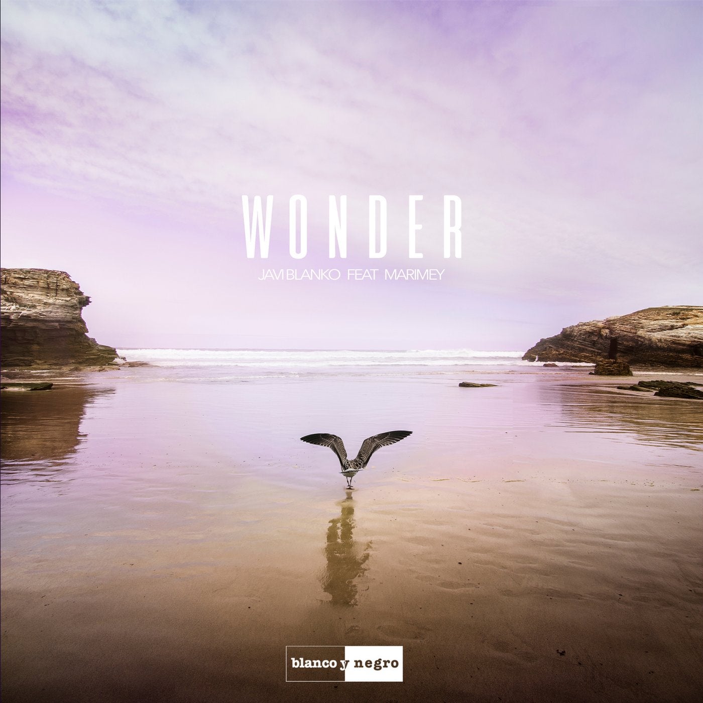 Wonder