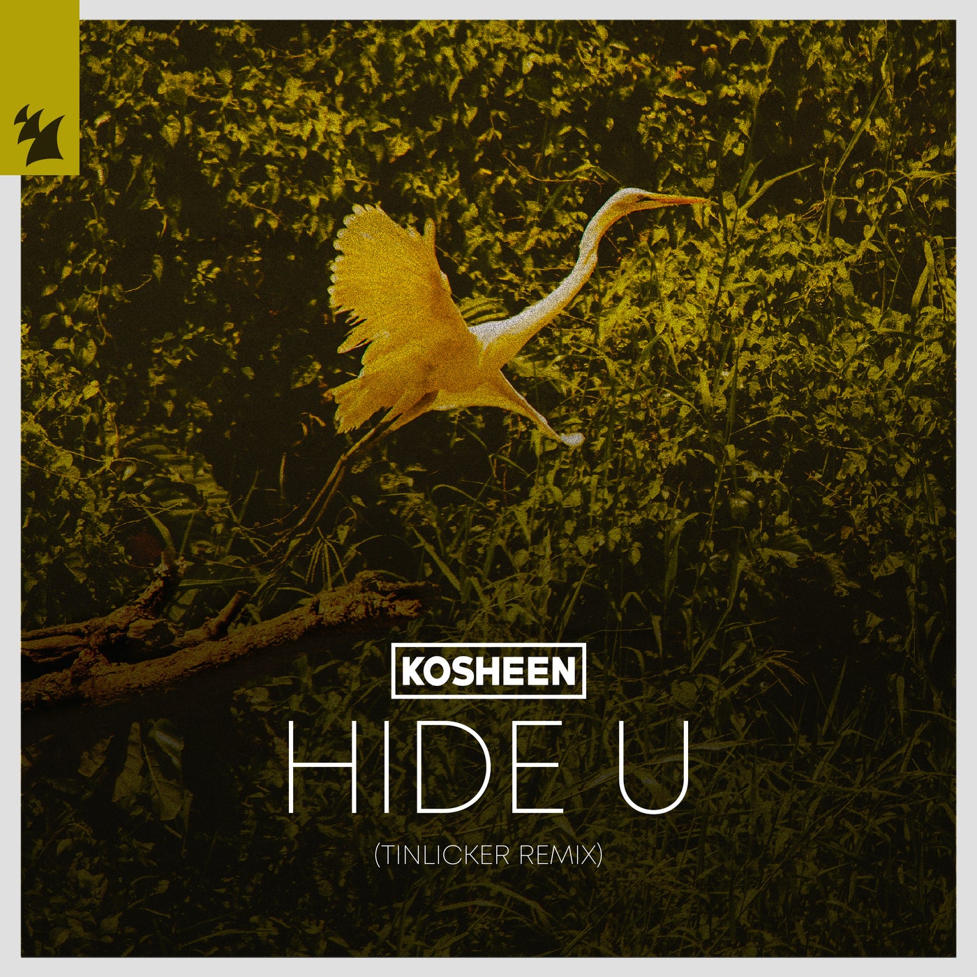 www.beatport.com
