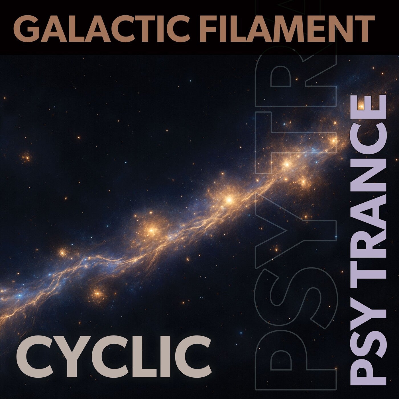 Galactic Filament