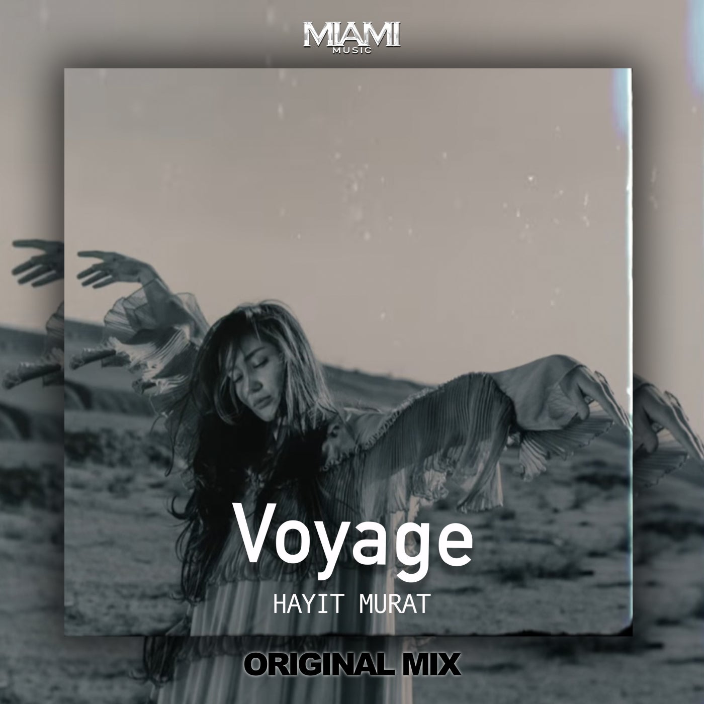 Voyage