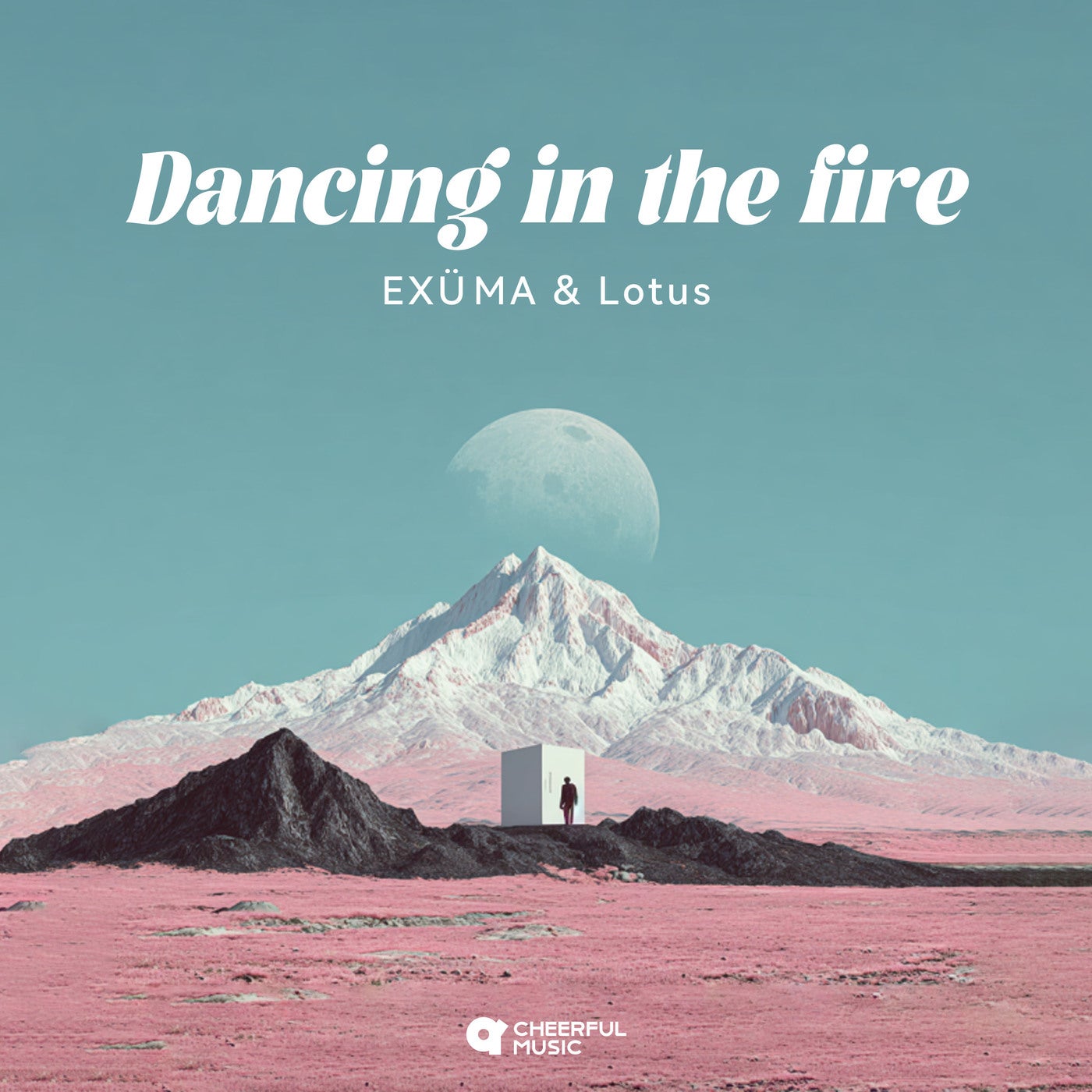 Cover art for Dancing In The Fire