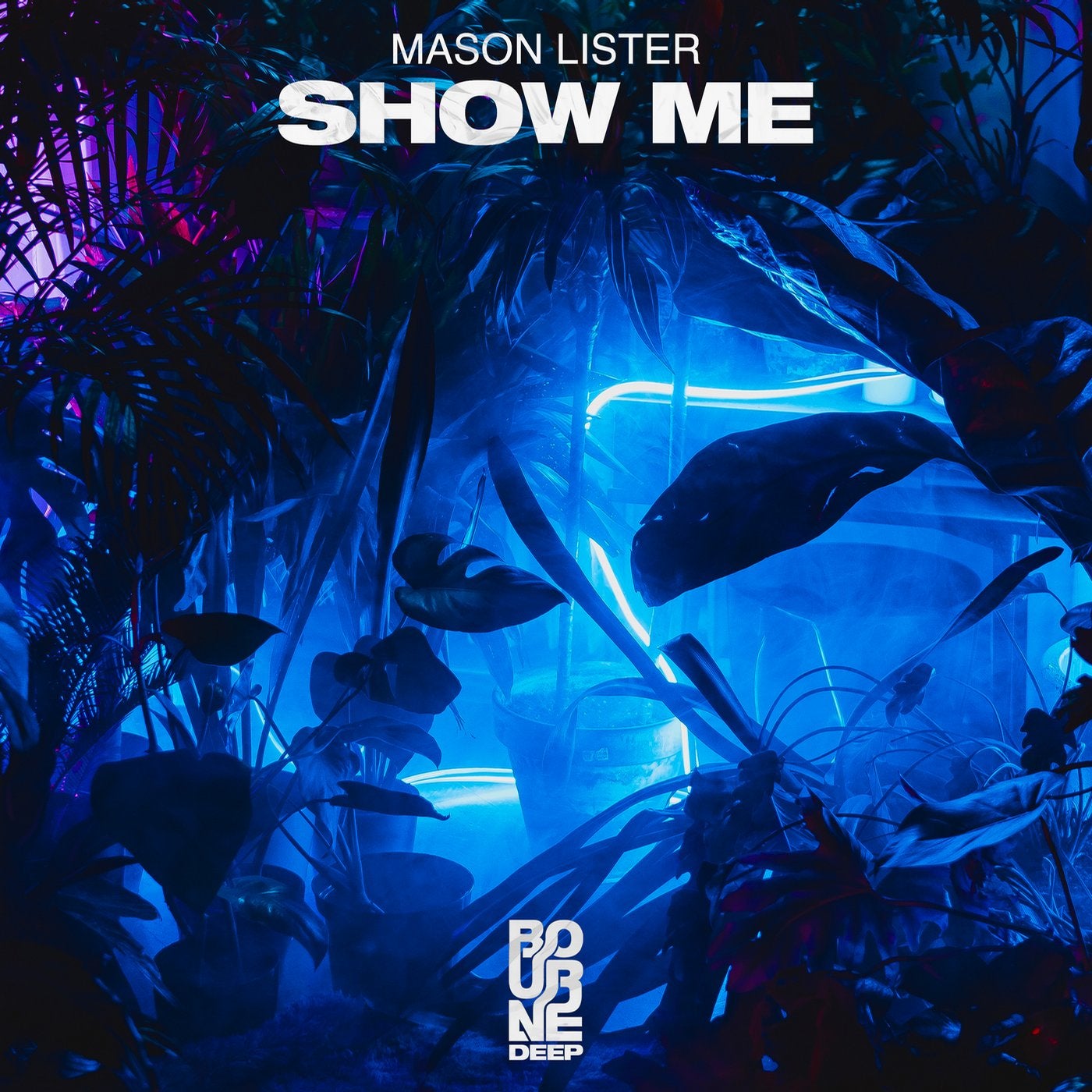 Show Me (Extended Mix)