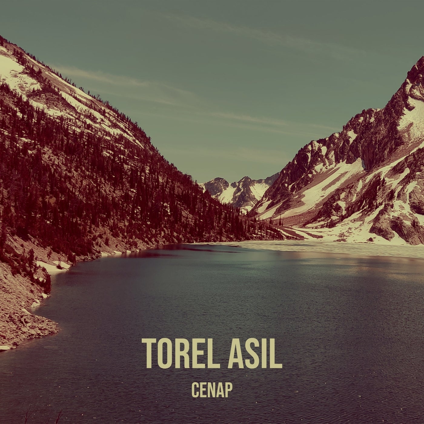 Torel Asil