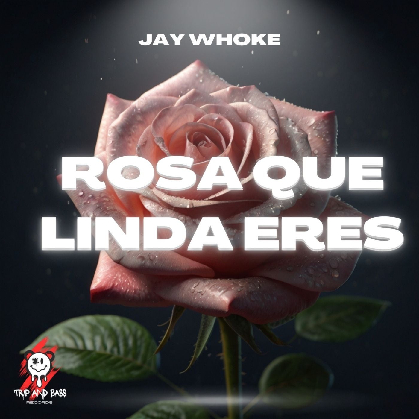 Jay Whoke Rosa Que Linda Eres TECH HOUSE [TRIP AND BASS Records