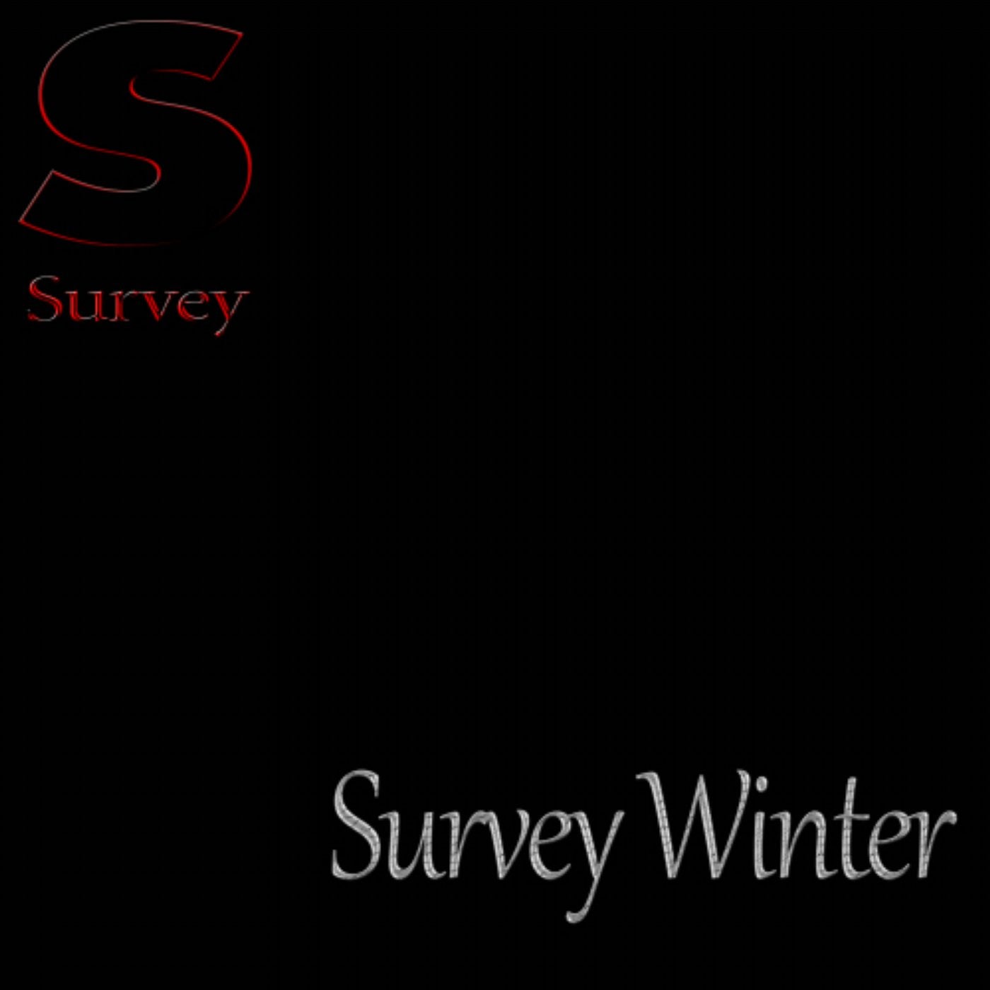 Survey Winter