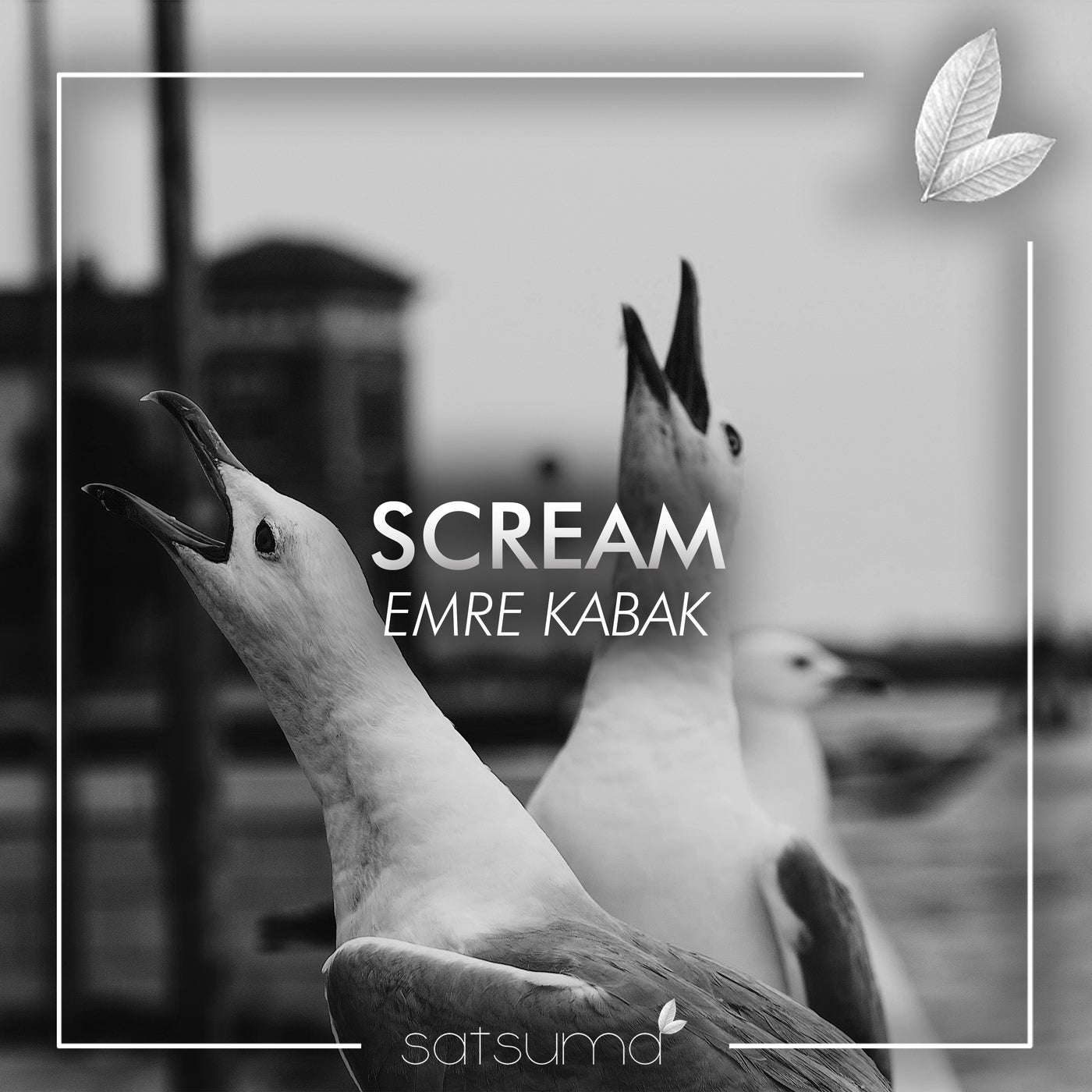 Scream