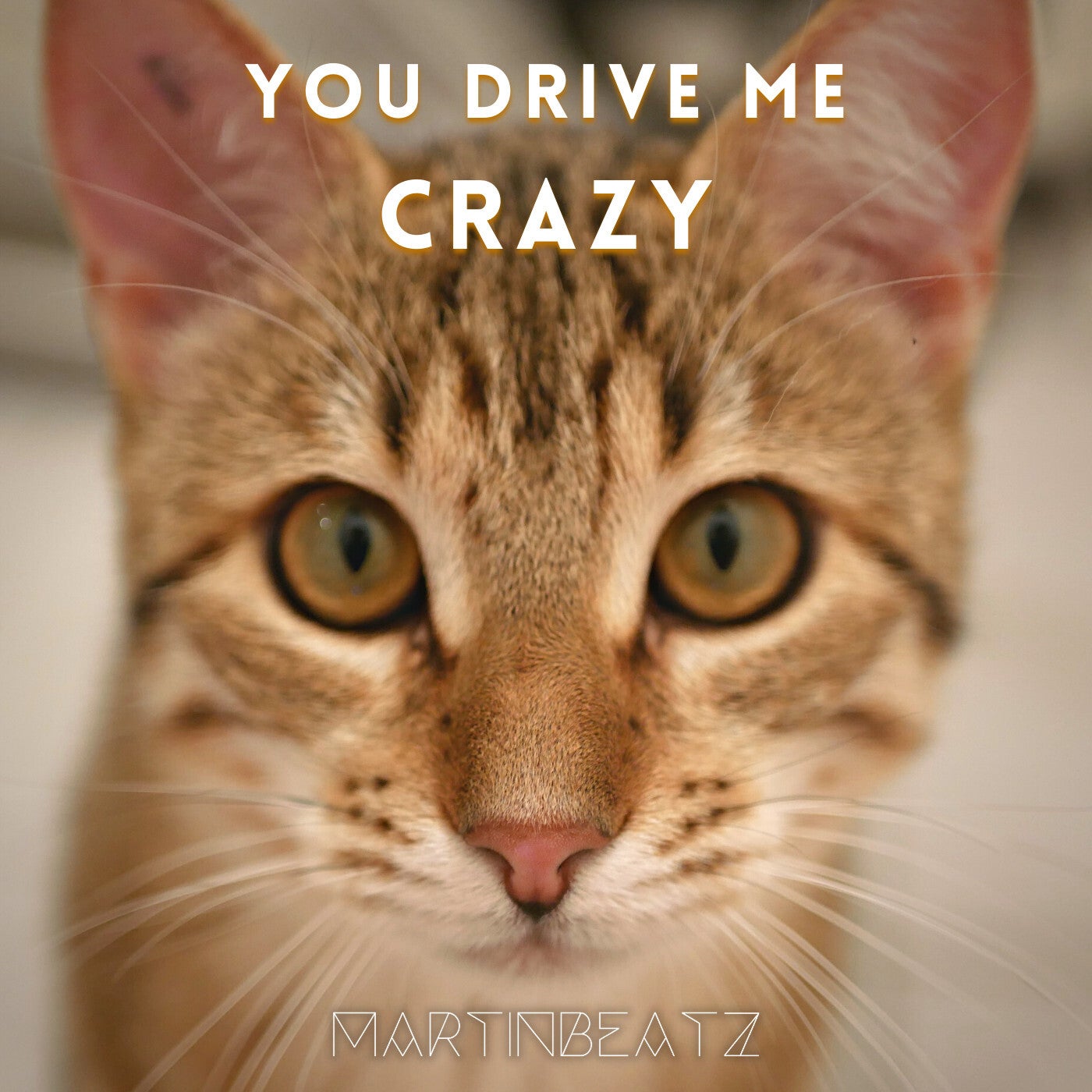 You Drive Me Crazy