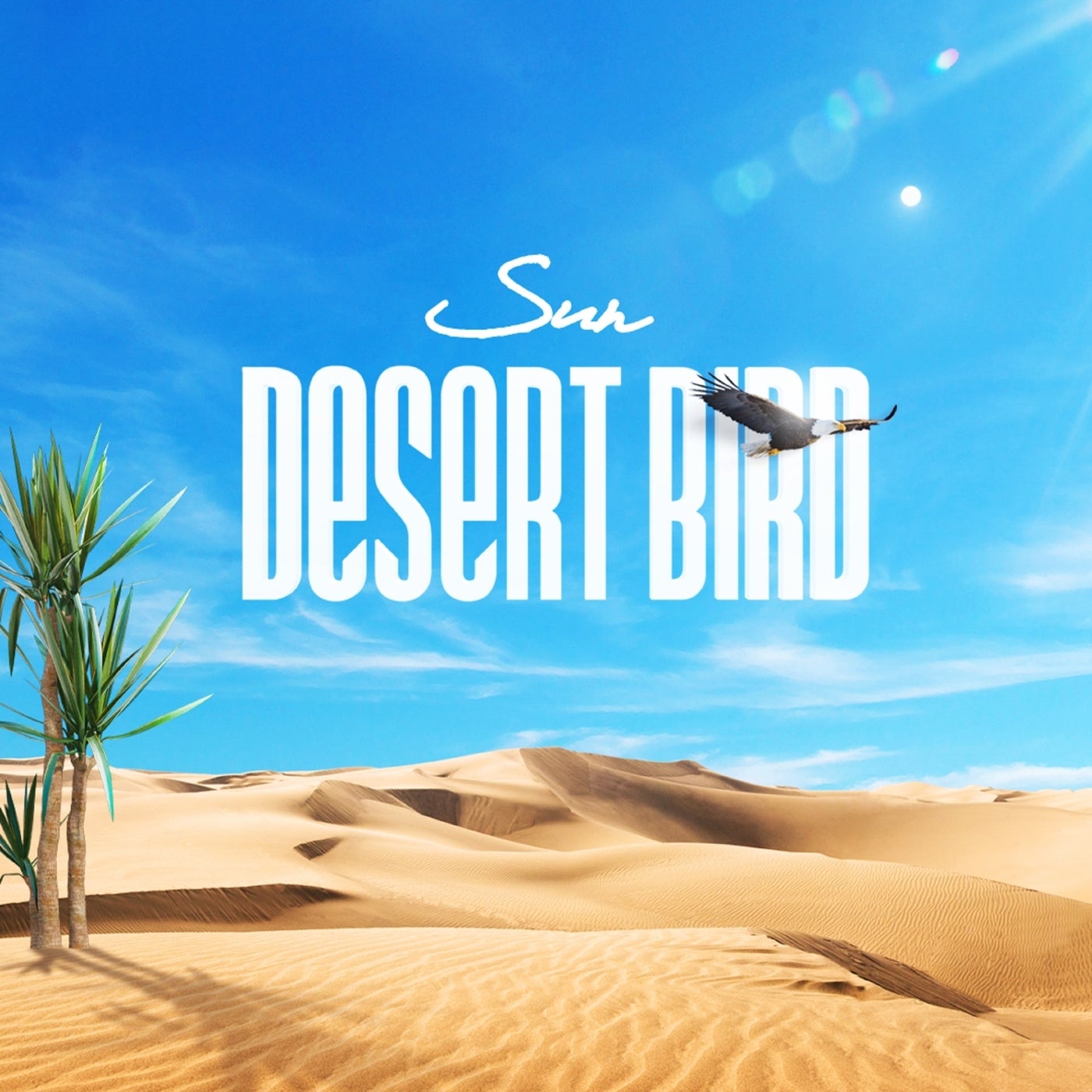 Desert Bird