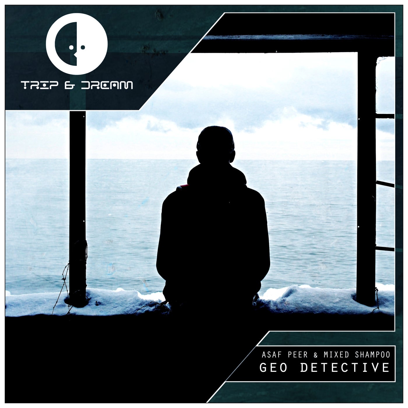 Geo Detective