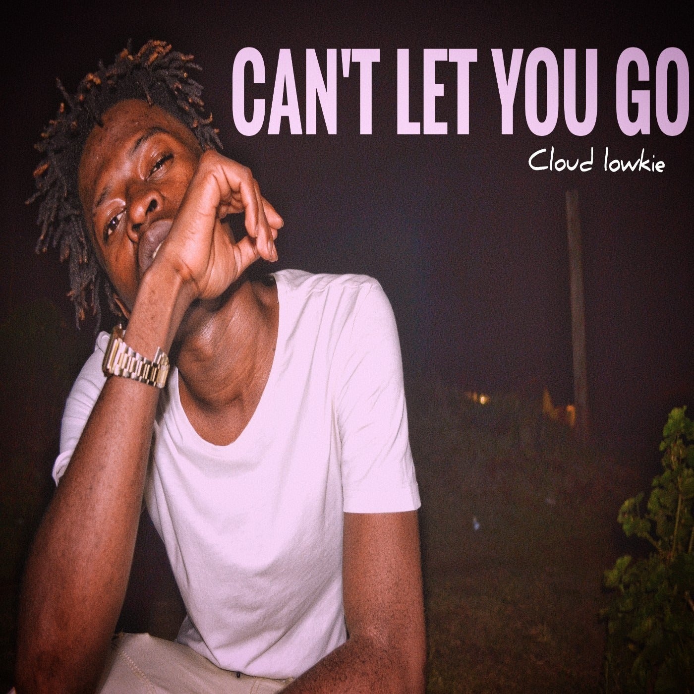 Can't Let You Go